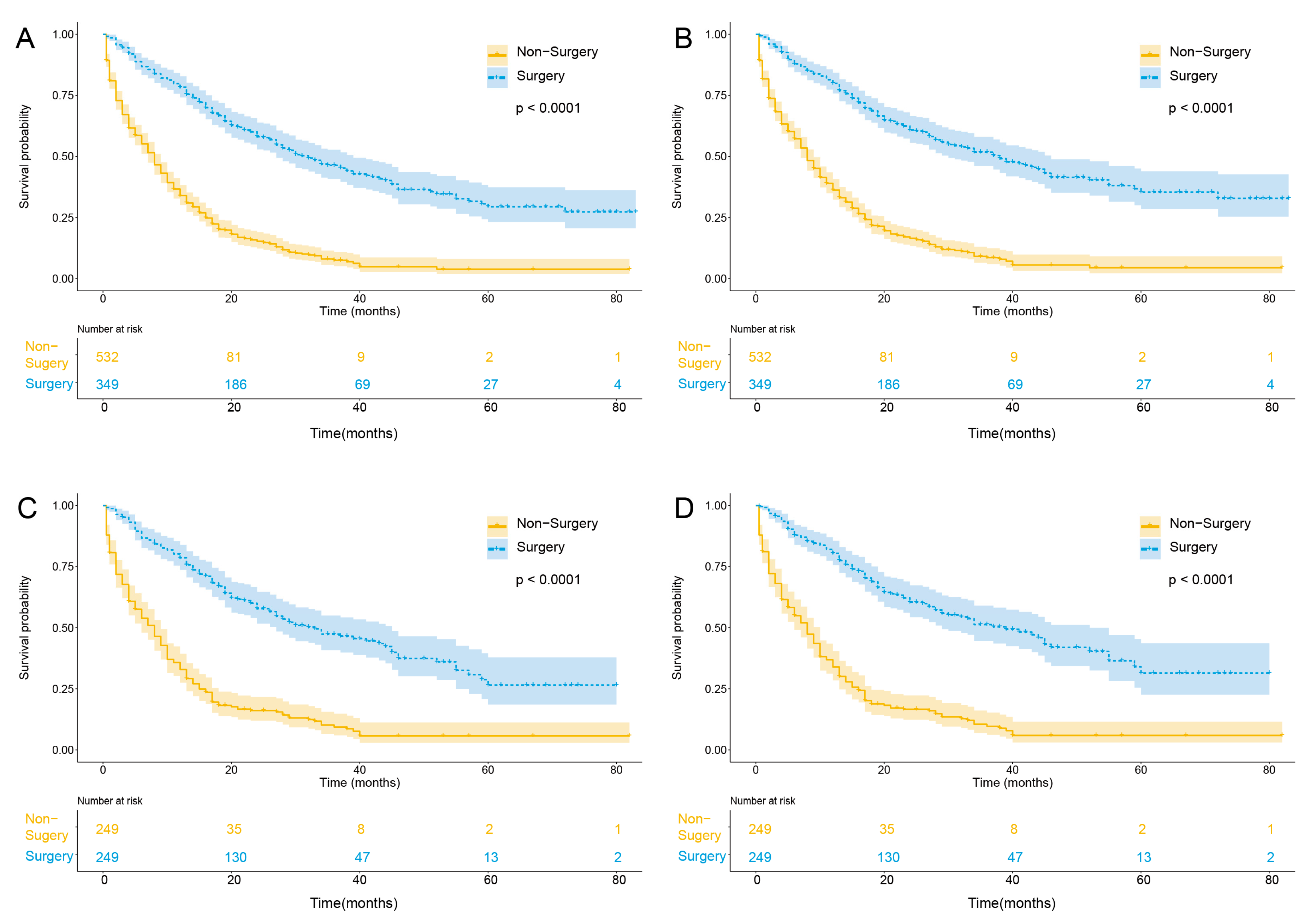 Curroncol 30 00201 g001 Curroncol 30 00201 g001