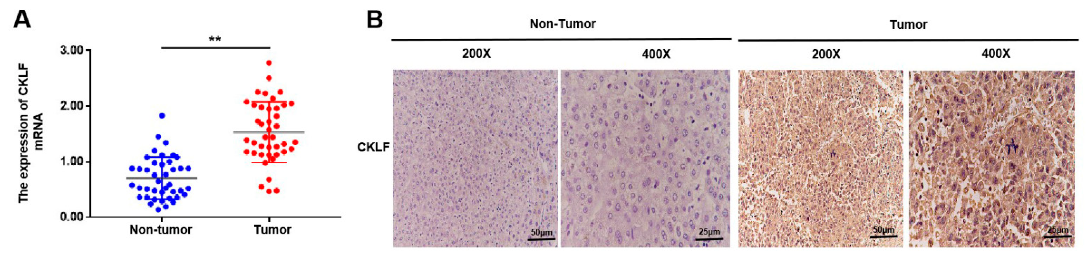 Curroncol 30 00202 g009