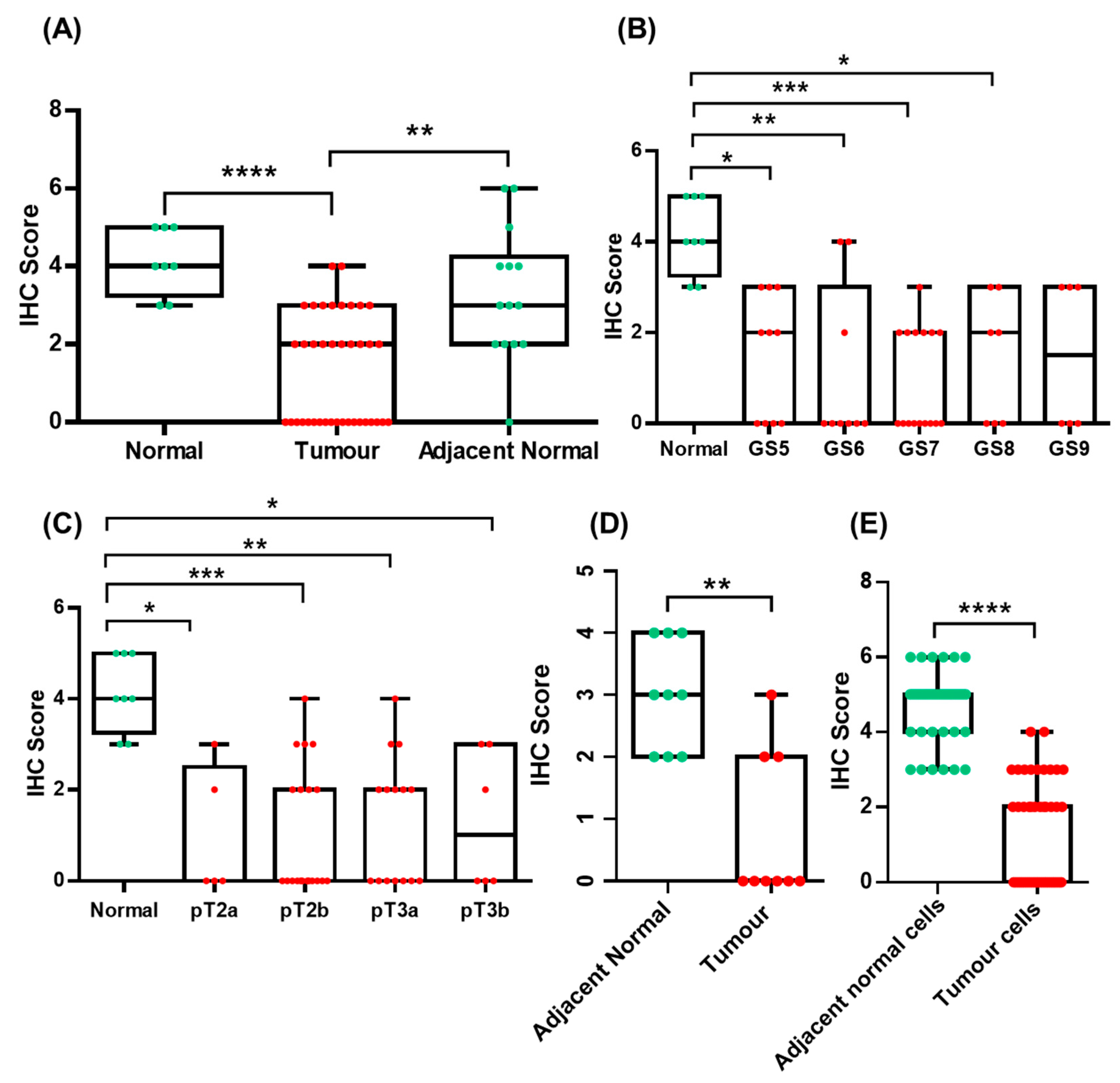 Curroncol 30 00206 g002 Curroncol 30 00206 g002