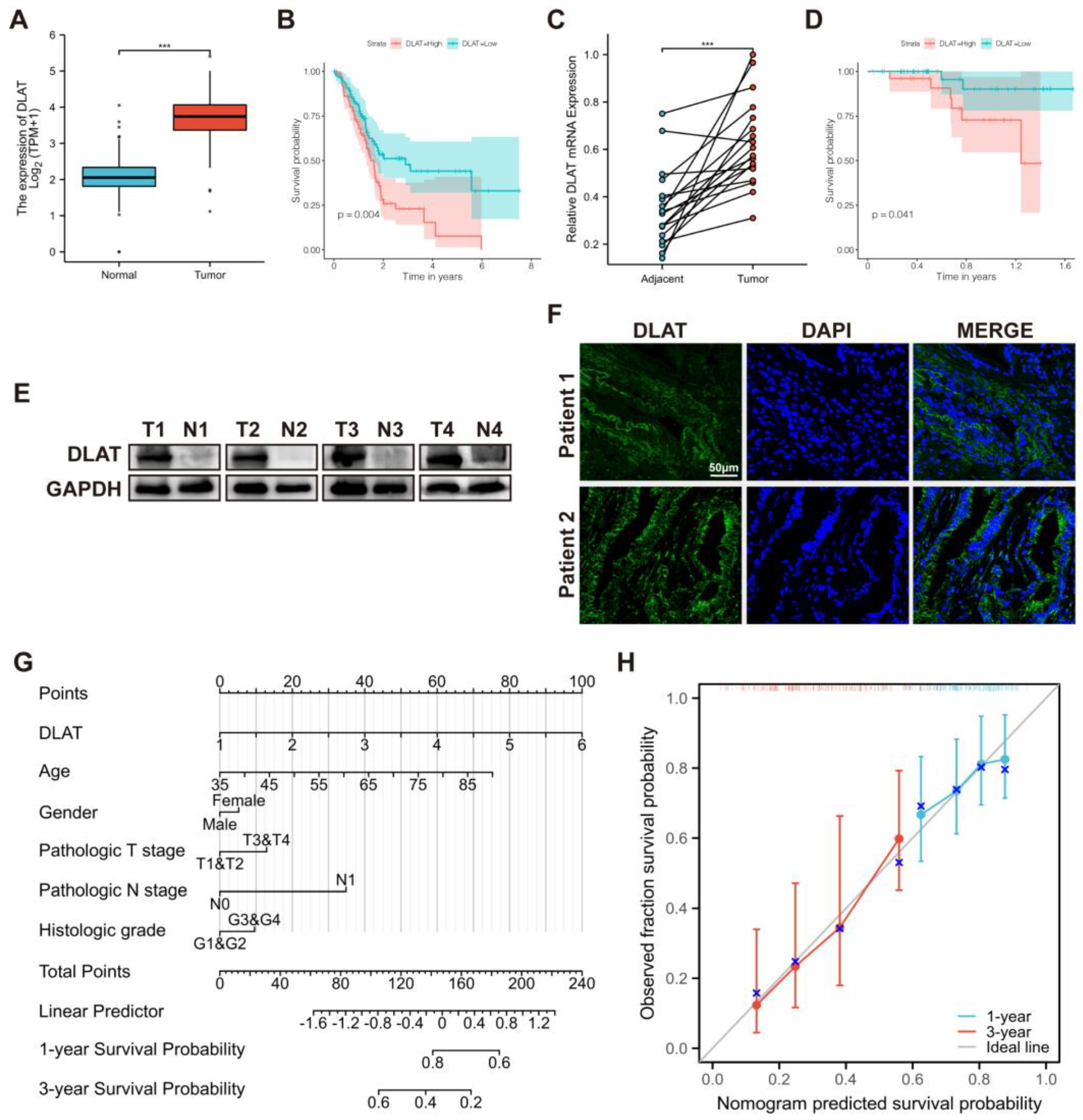 Curroncol 30 00228 g003 Curroncol 30 00228 g003