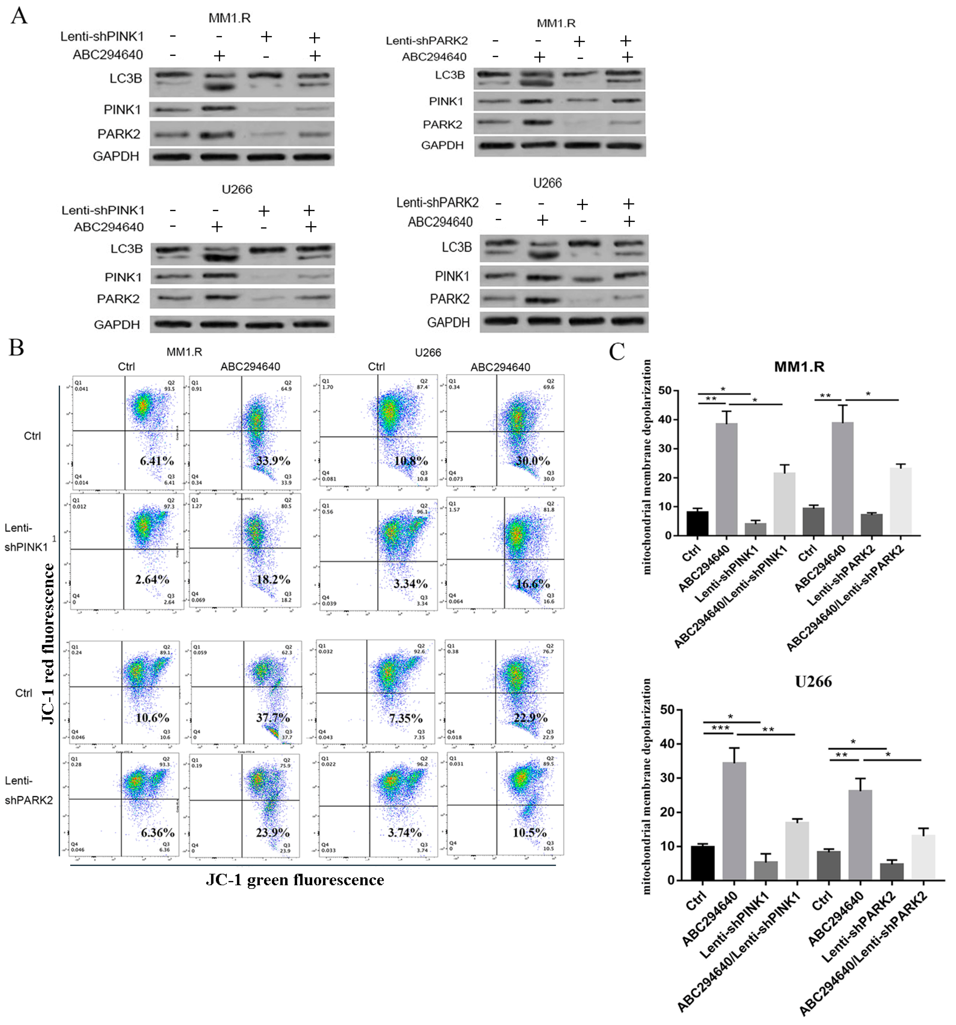 Curroncol 30 00231 g006