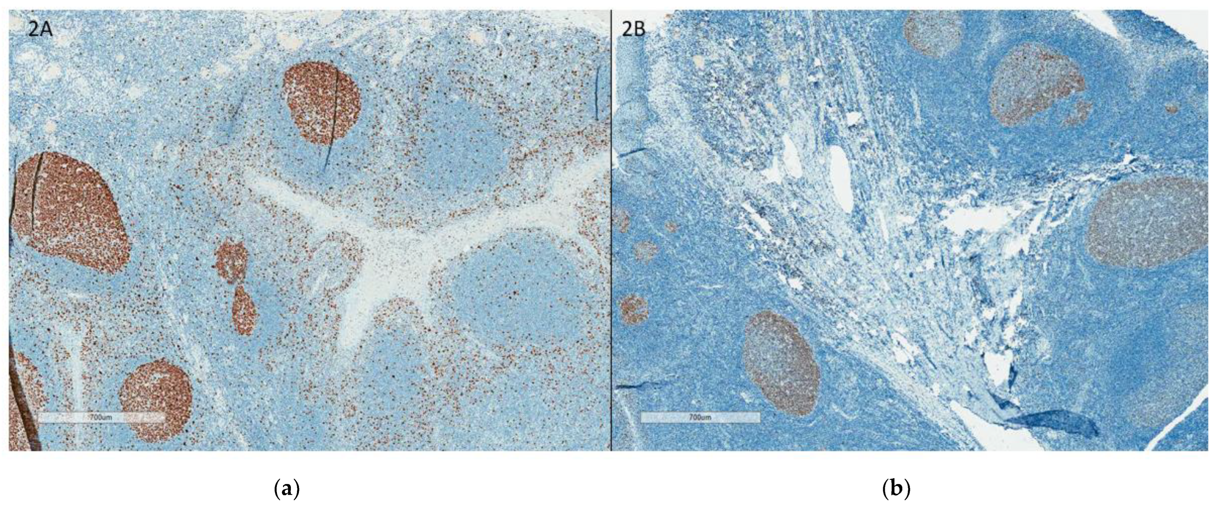 Curroncol 30 00233 g001 Curroncol 30 00233 g001