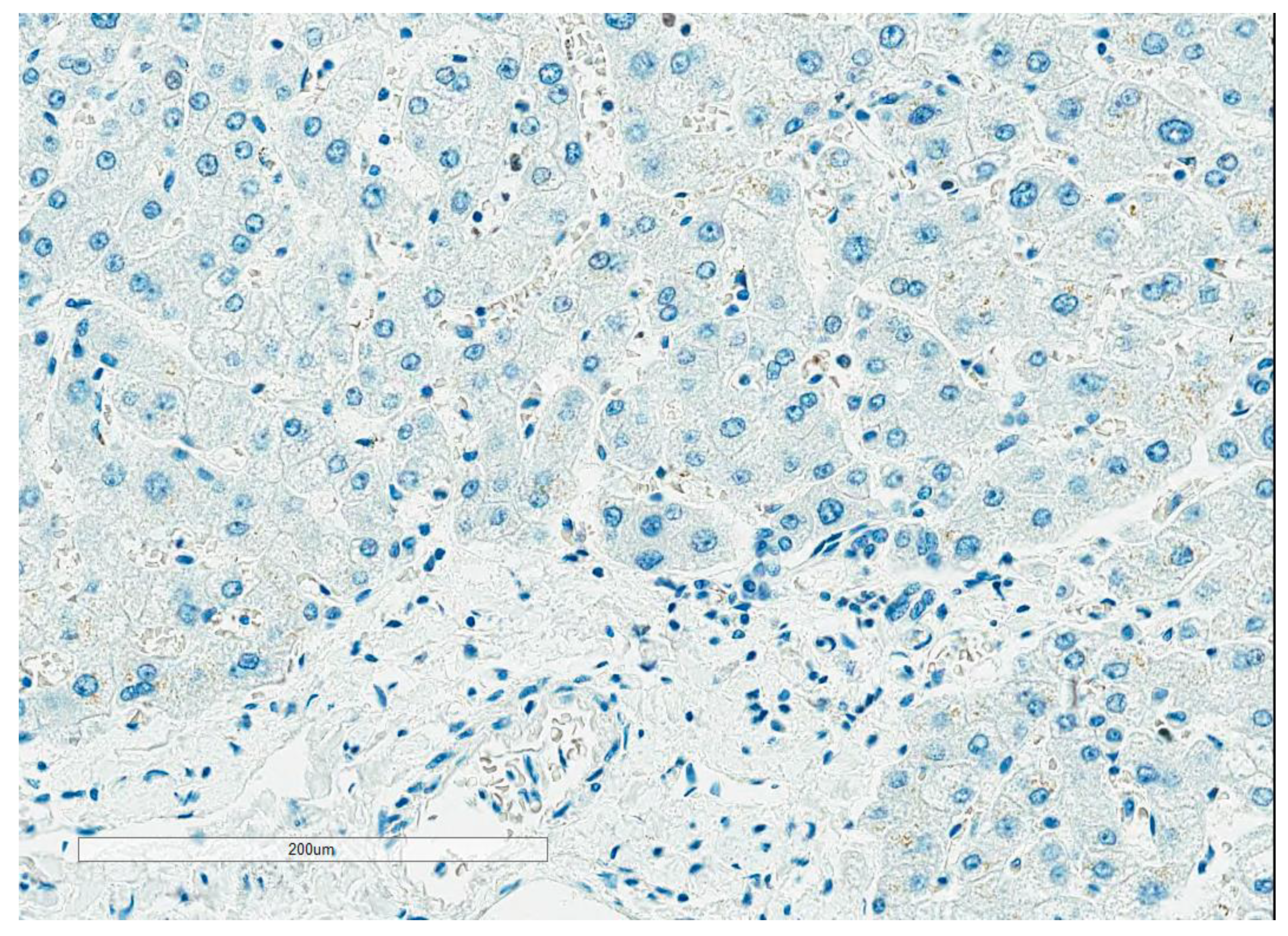 Curroncol 30 00233 g002 Curroncol 30 00233 g002