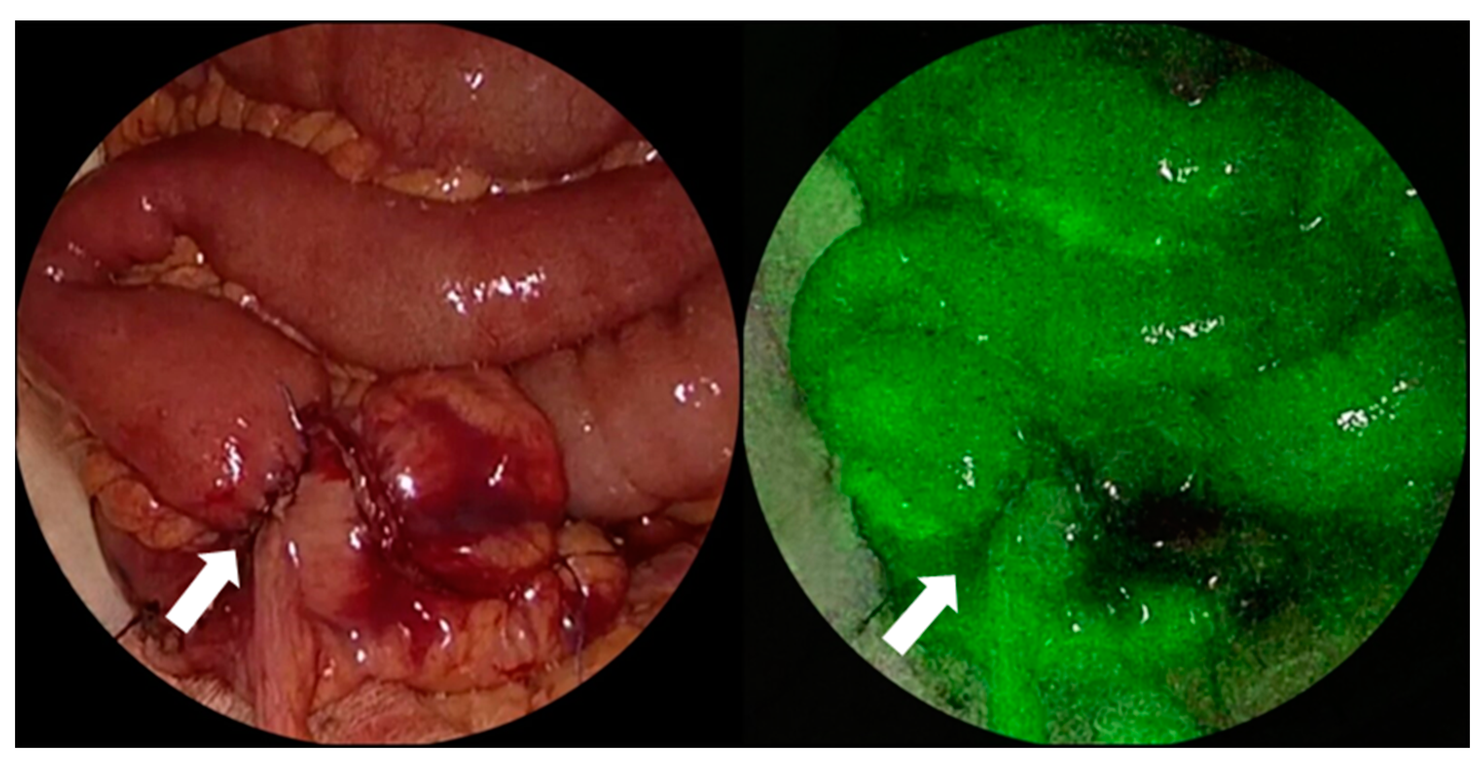 Curroncol 30 00236 g002 Curroncol 30 00236 g002