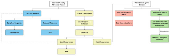 Current Oncology | Free Full-Text | Anal Cancer: The Past, Present and ...