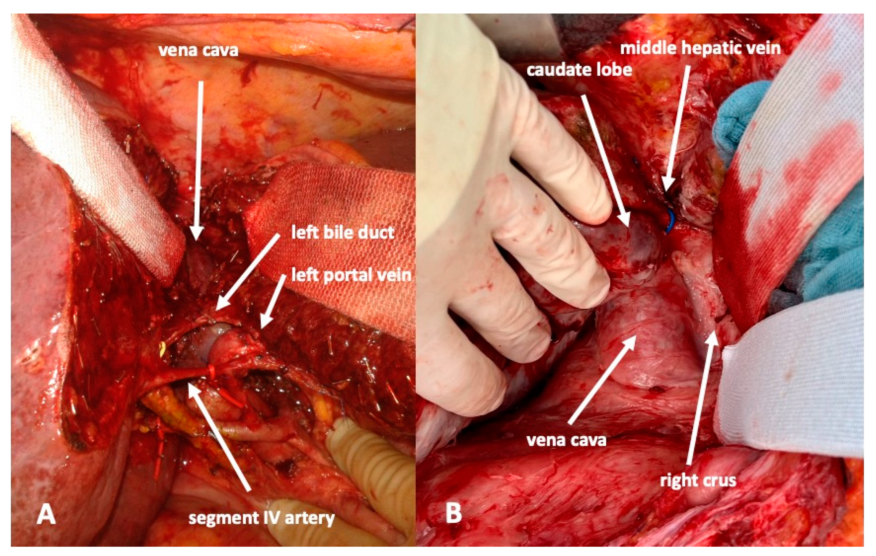 Curroncol 30 00249 g003