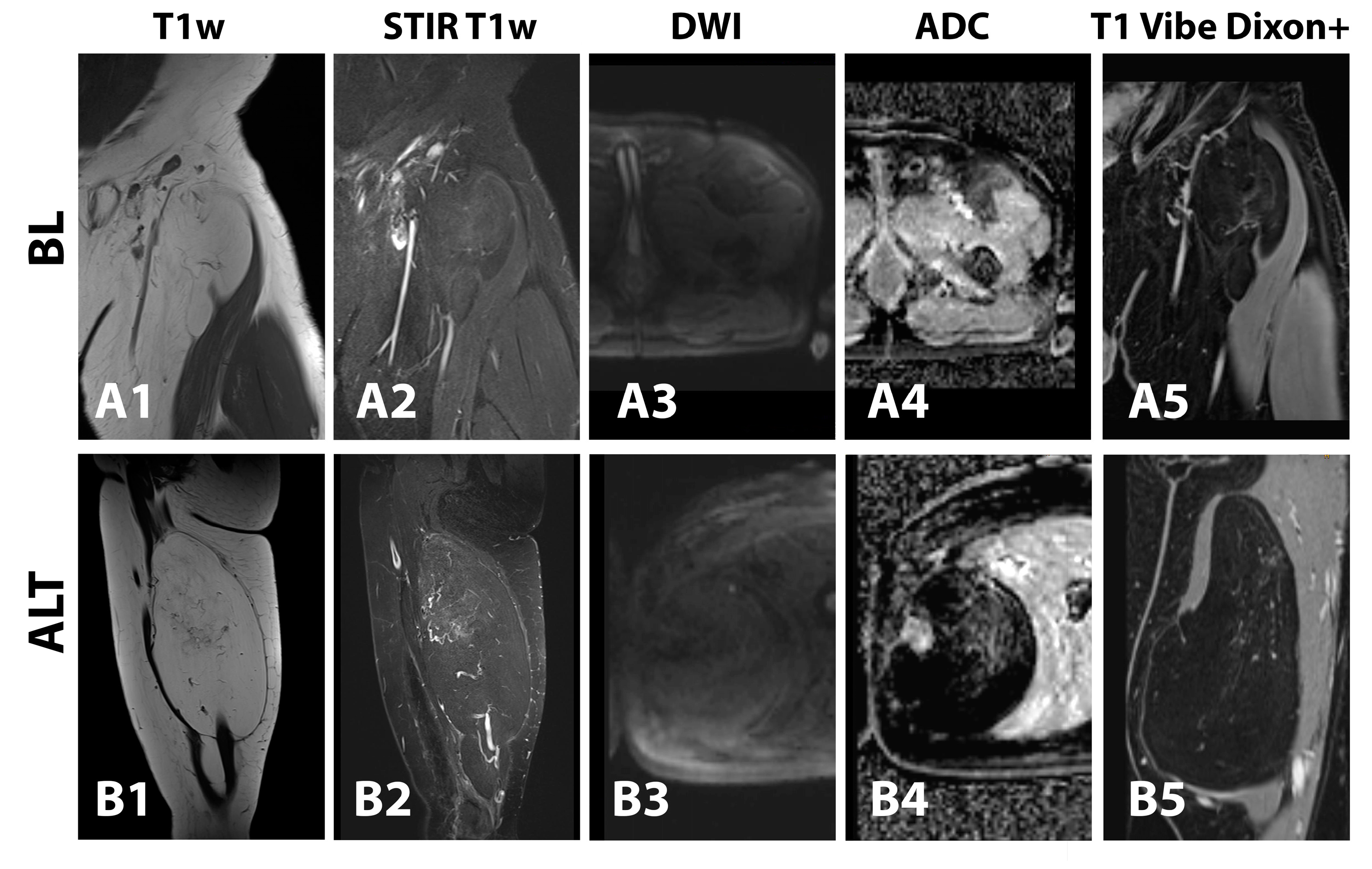Curroncol 30 00252 g008 Curroncol 30 00252 g008