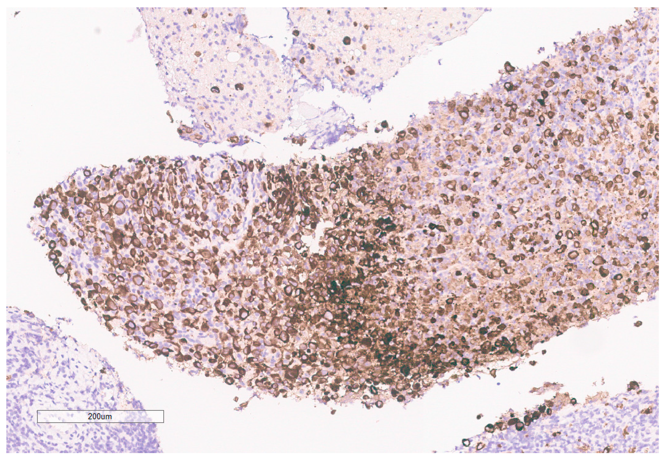 Curroncol 30 00255 g008