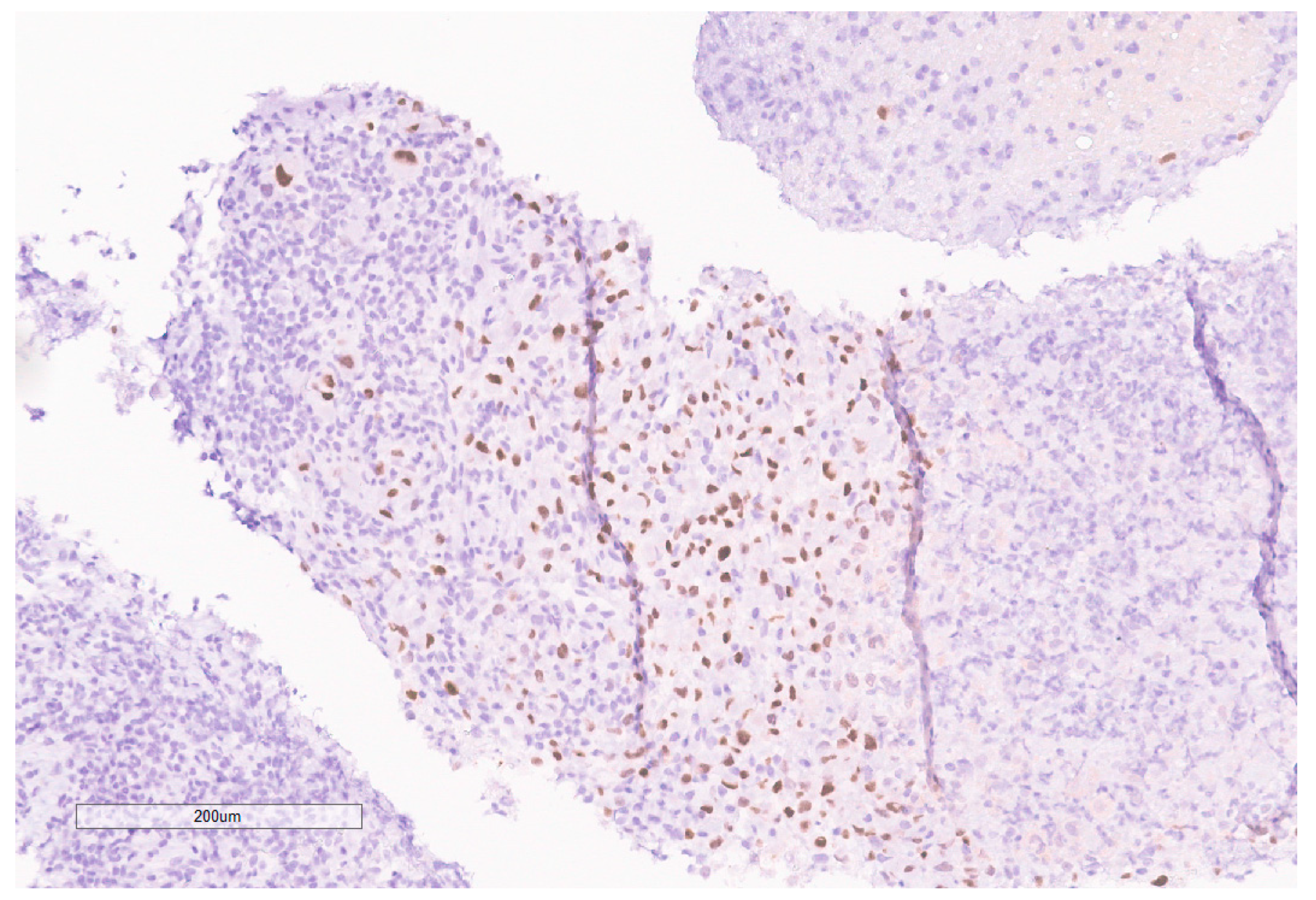 Curroncol 30 00255 g009