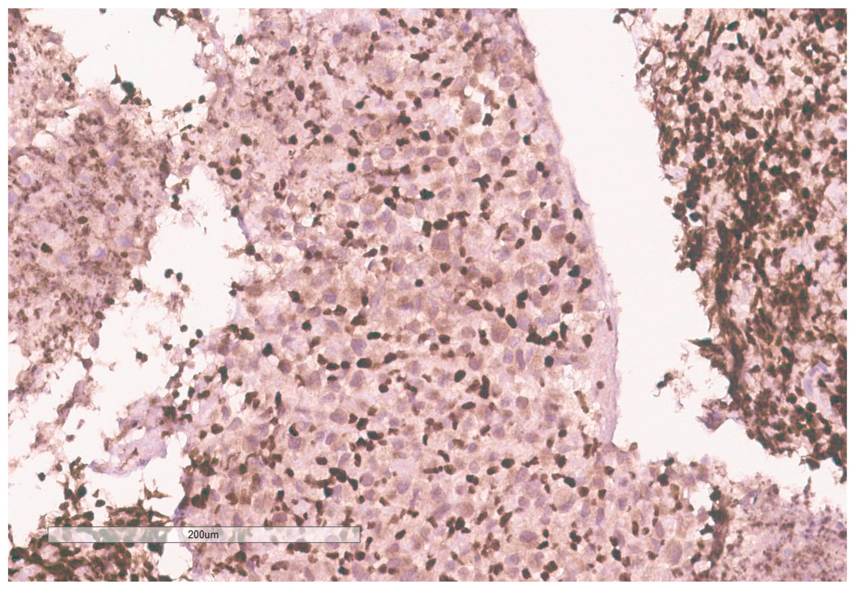 Curroncol 30 00255 g010