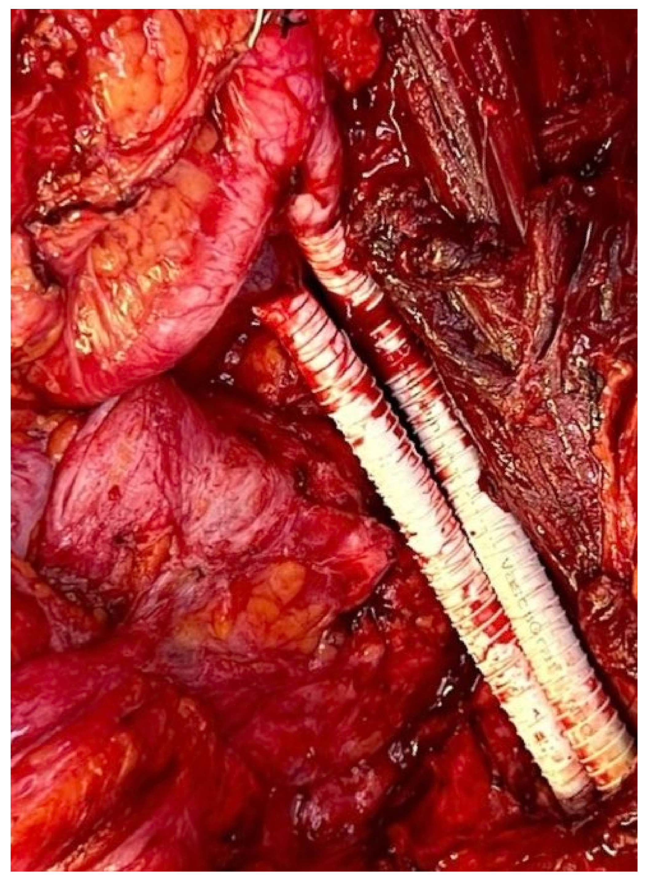 Curroncol 30 00266 g004