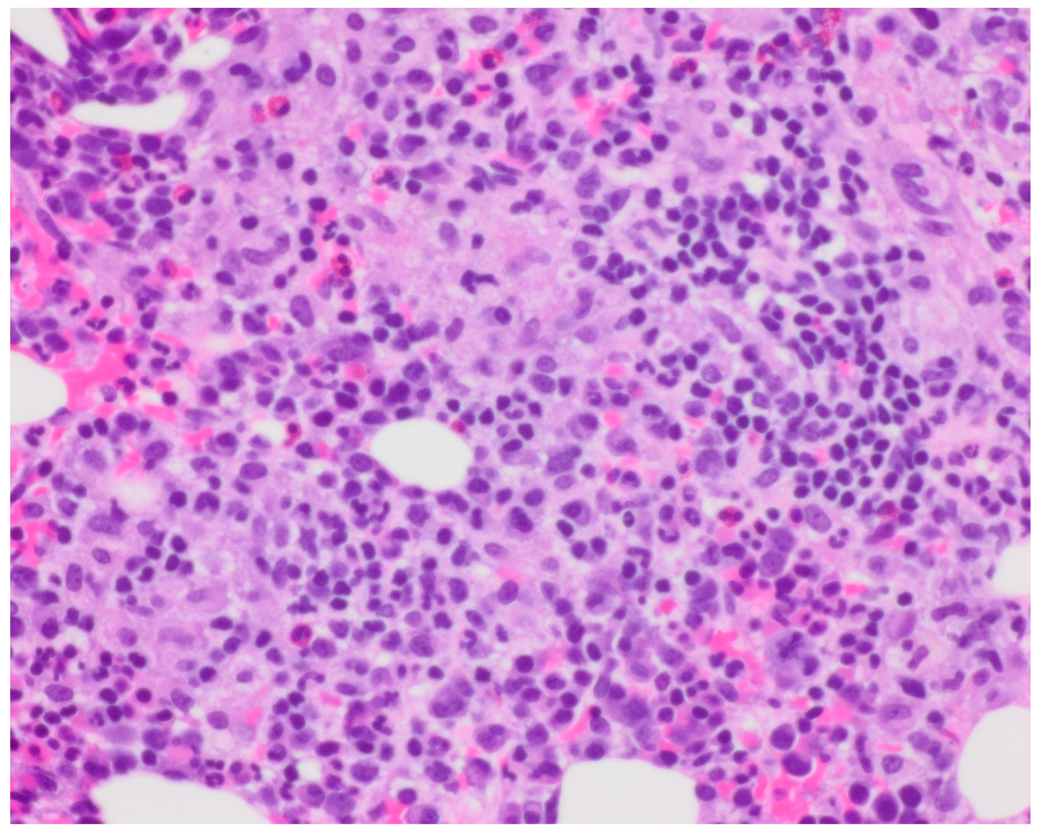 Curroncol 30 00268 g001