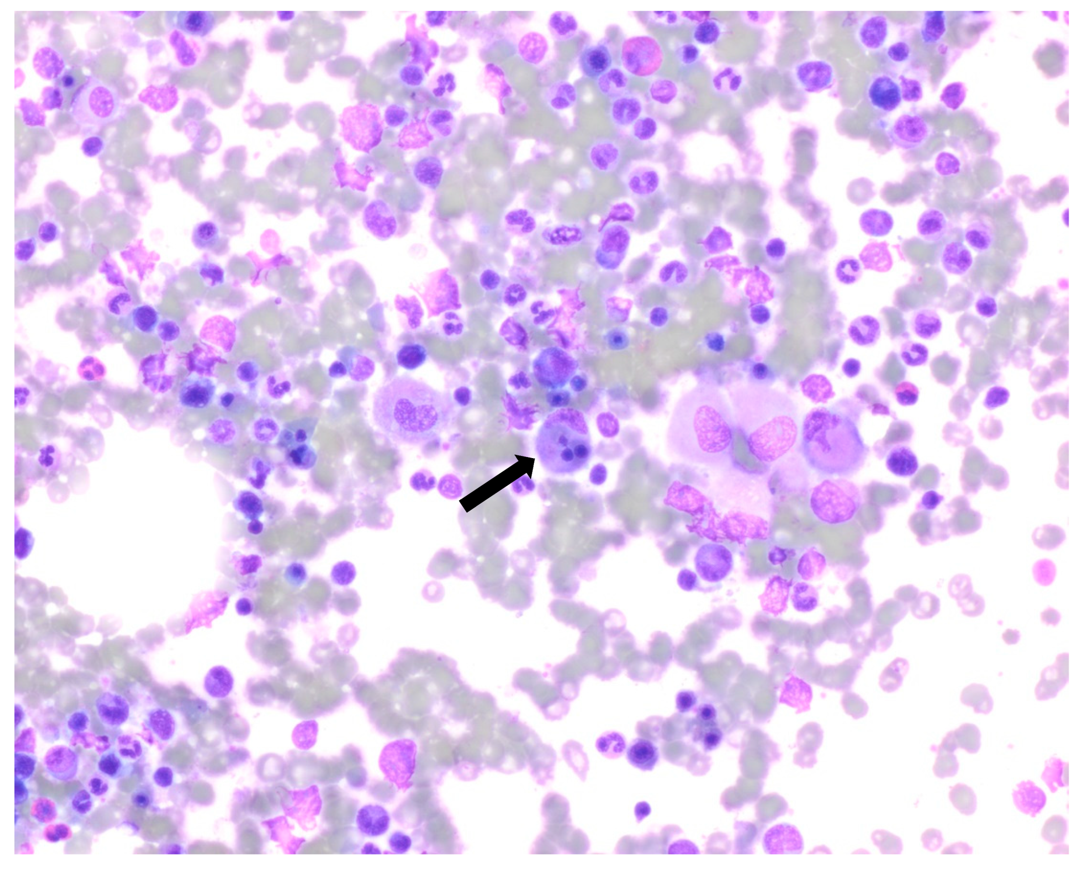 Curroncol 30 00268 g003