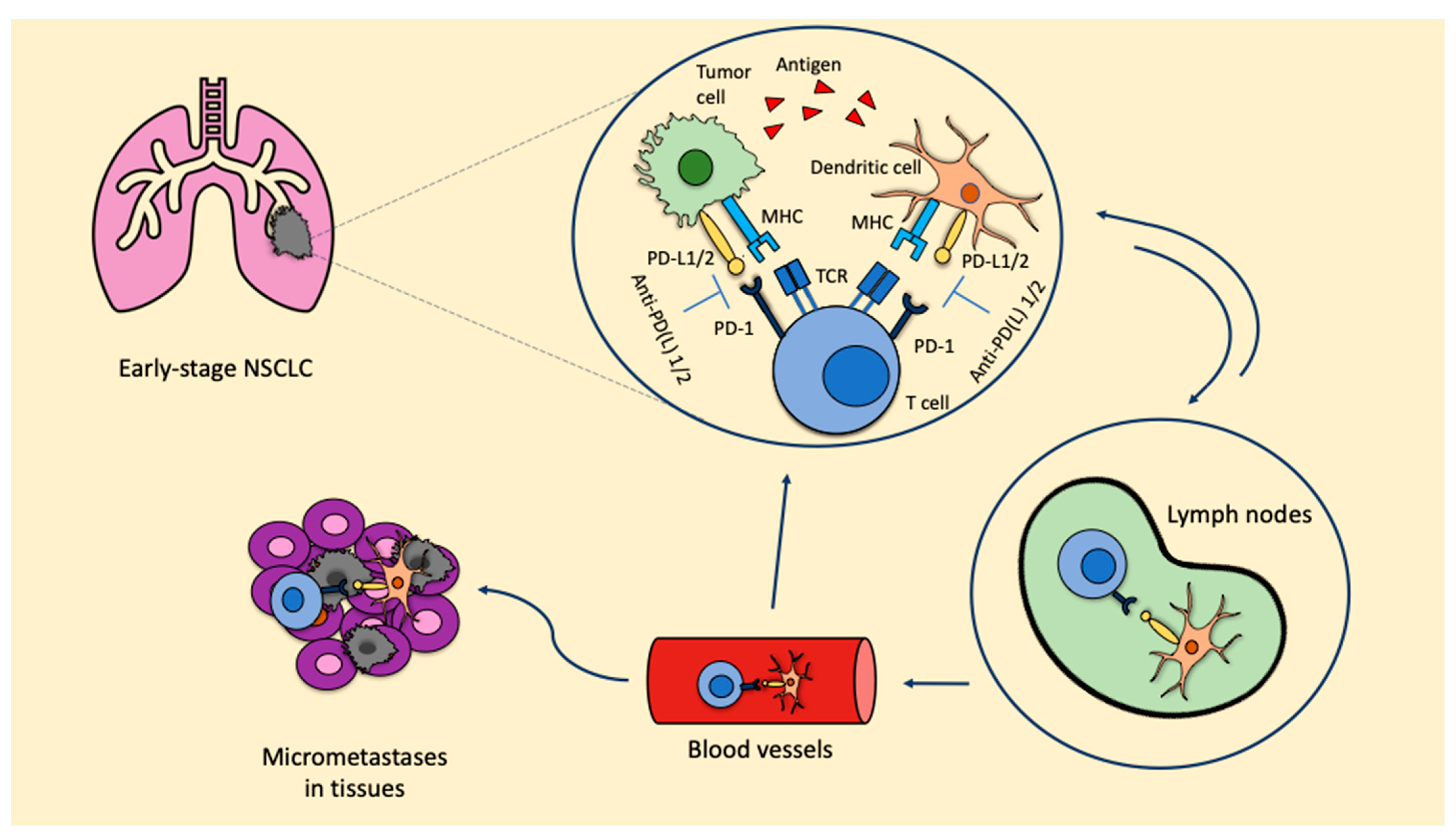 Curroncol 30 00280 g001