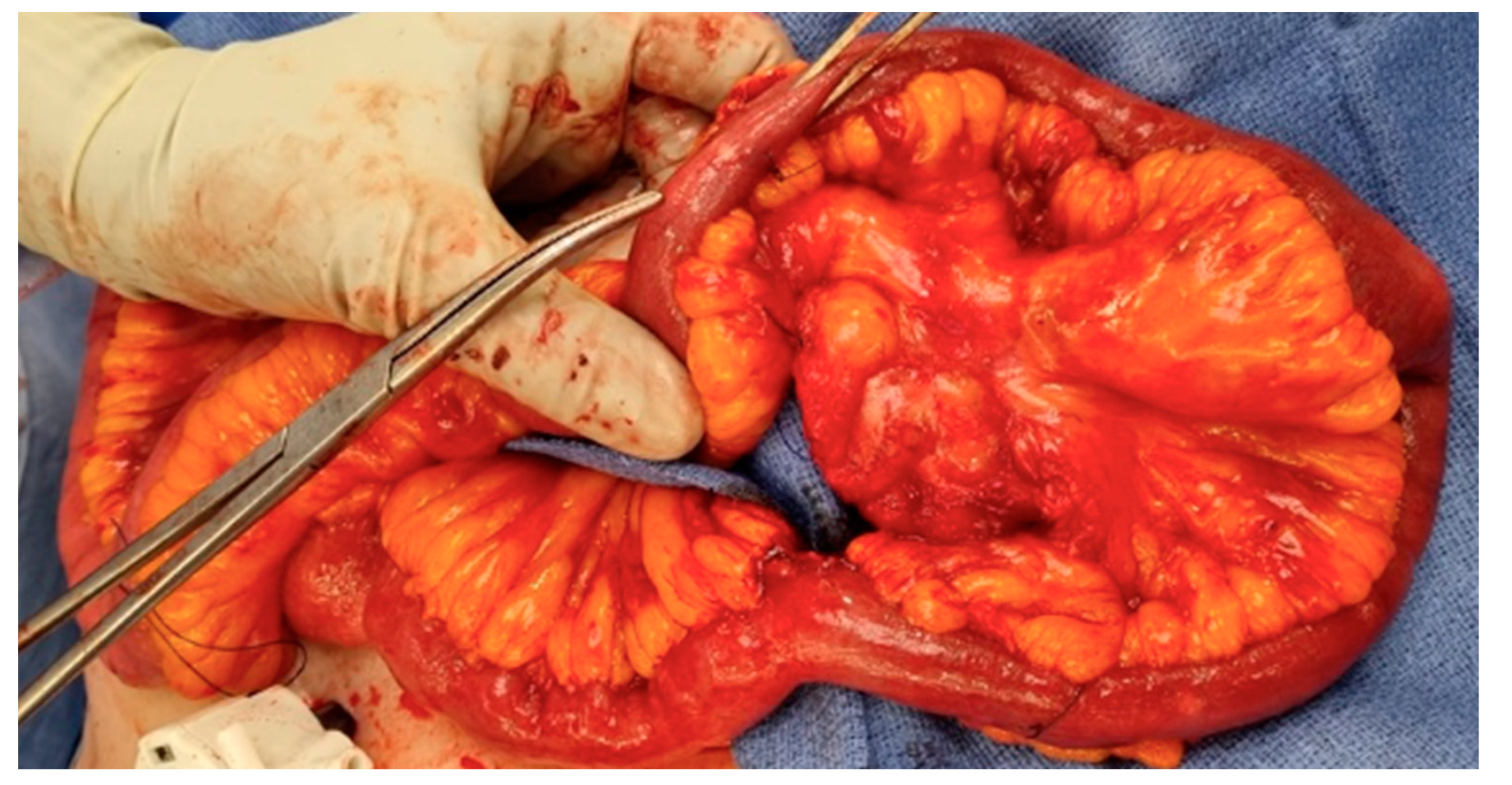 Curroncol 30 00312 g003 Curroncol 30 00312 g003