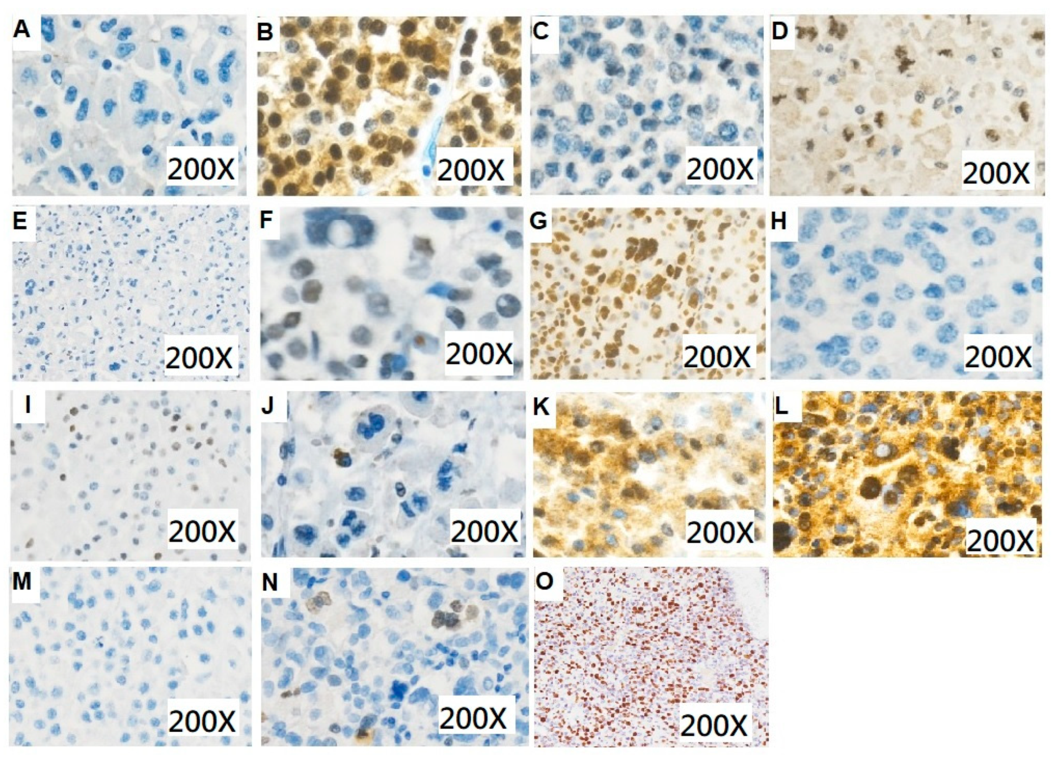 Curroncol 30 00313 g002 Curroncol 30 00313 g002