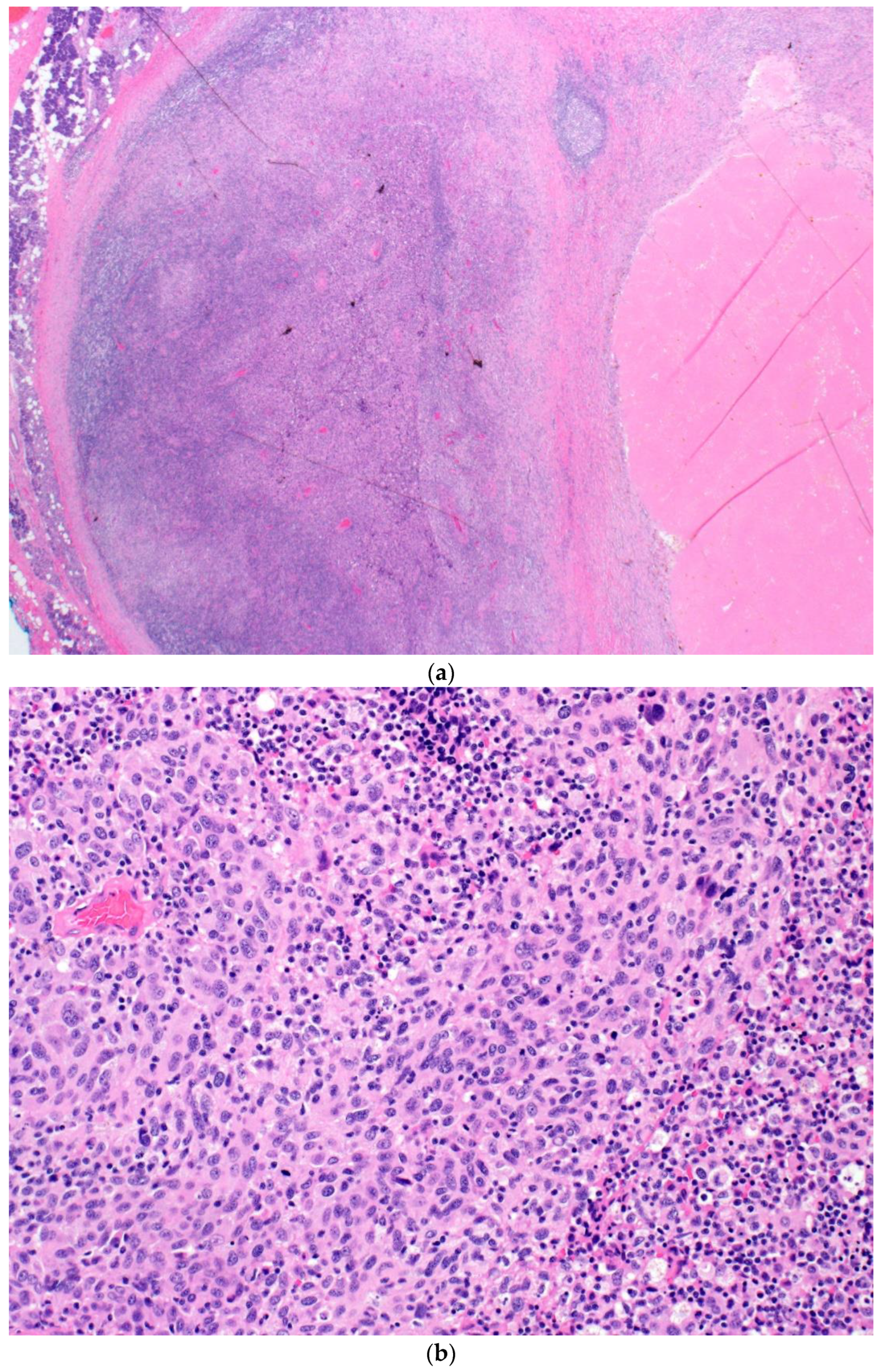 Curroncol 30 00335 g002a