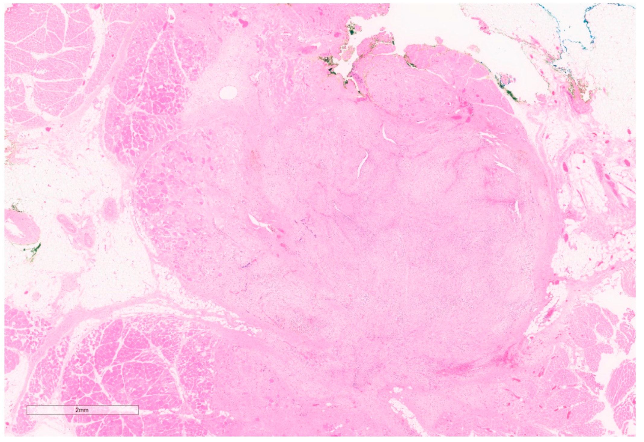 Curroncol 30 00338 g002