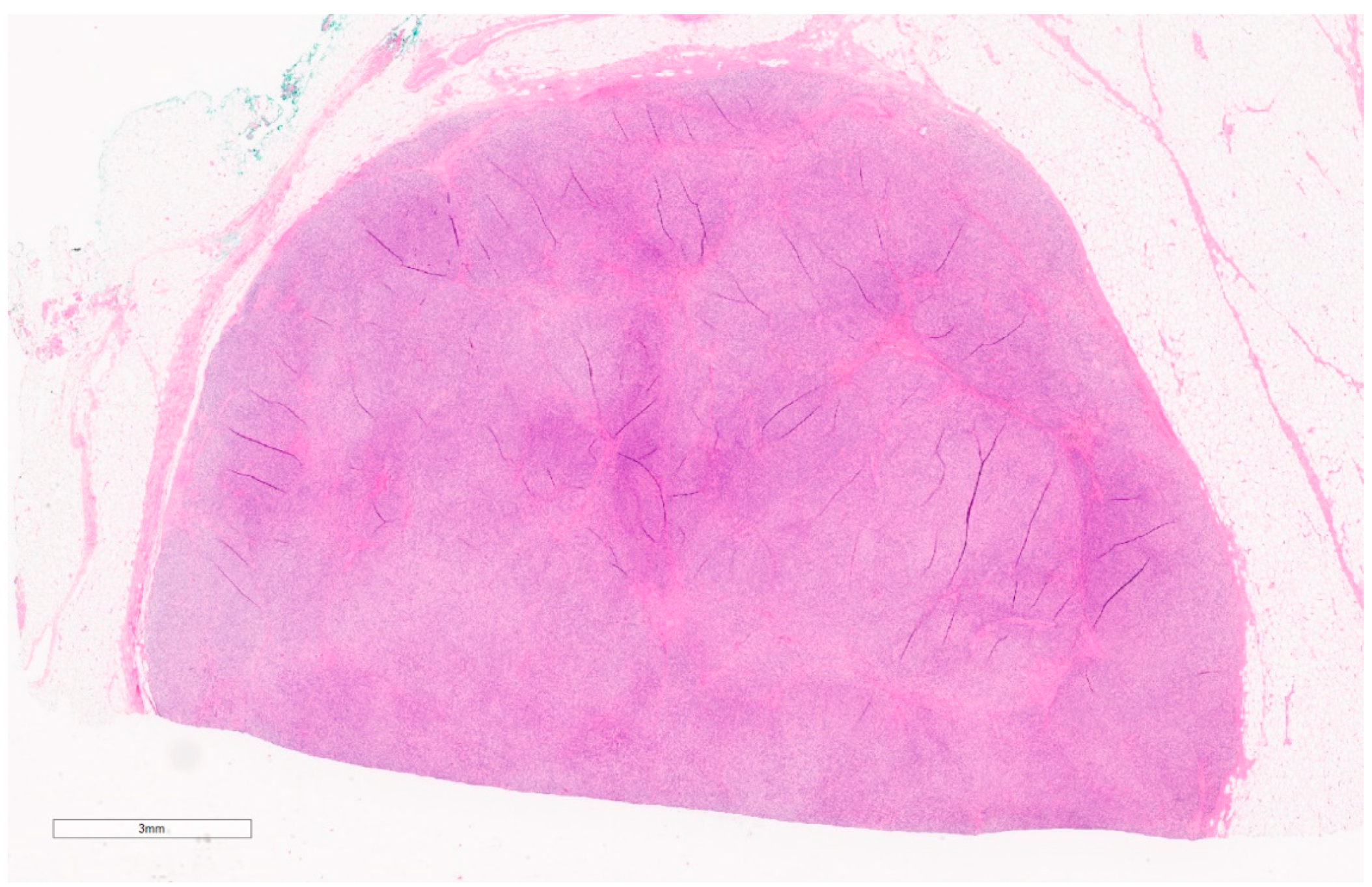 Curroncol 30 00338 g004