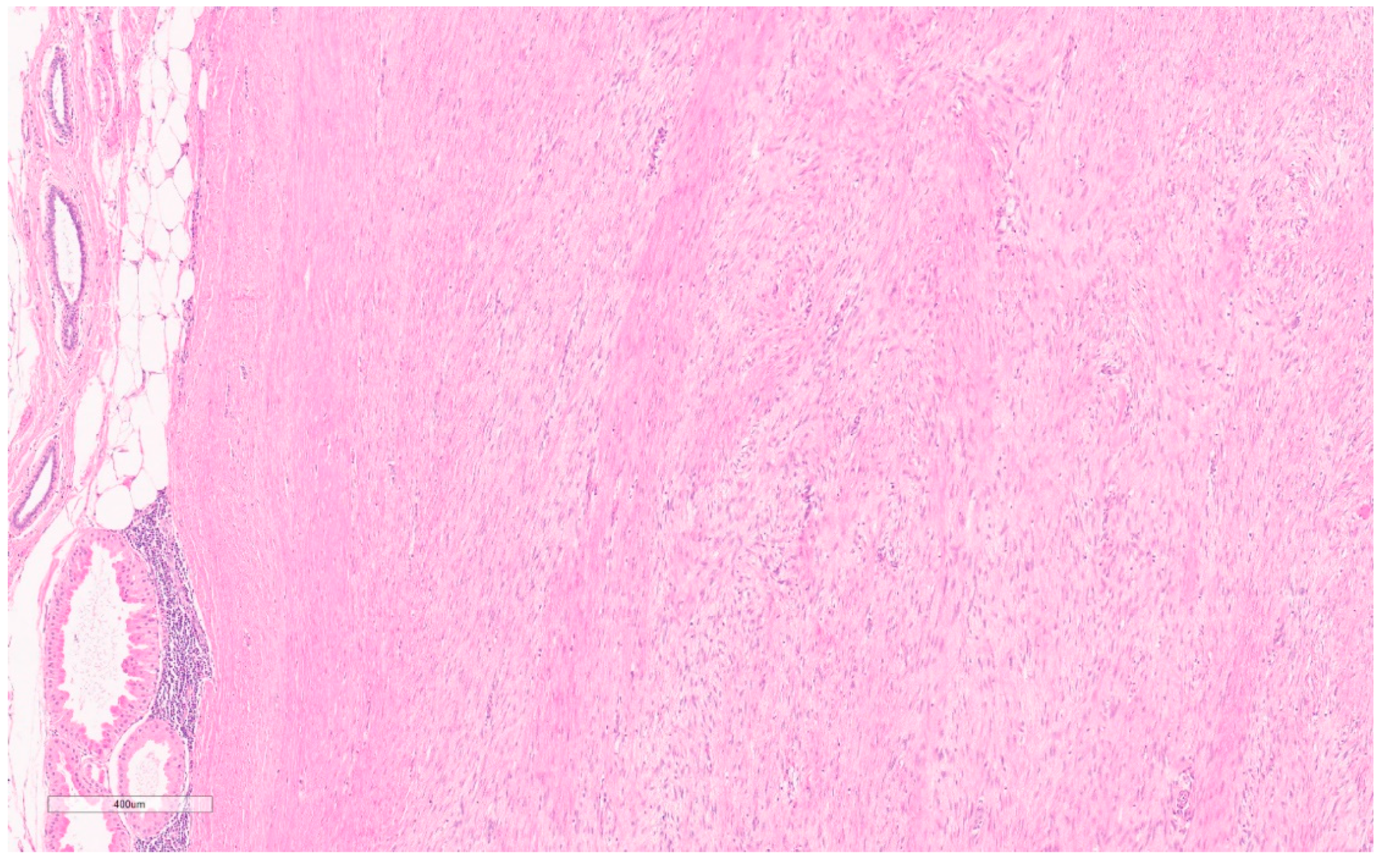 Curroncol 30 00338 g006