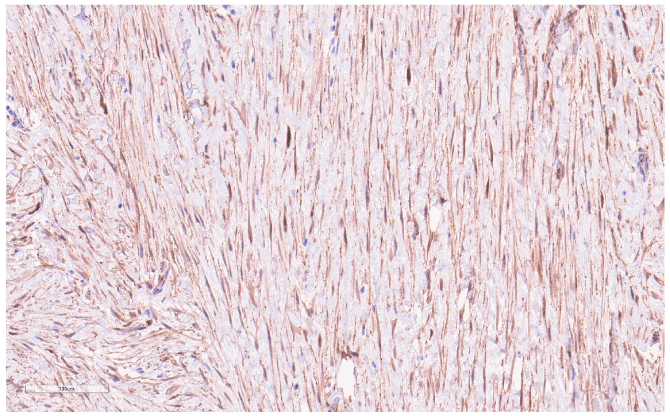 Curroncol 30 00338 g007