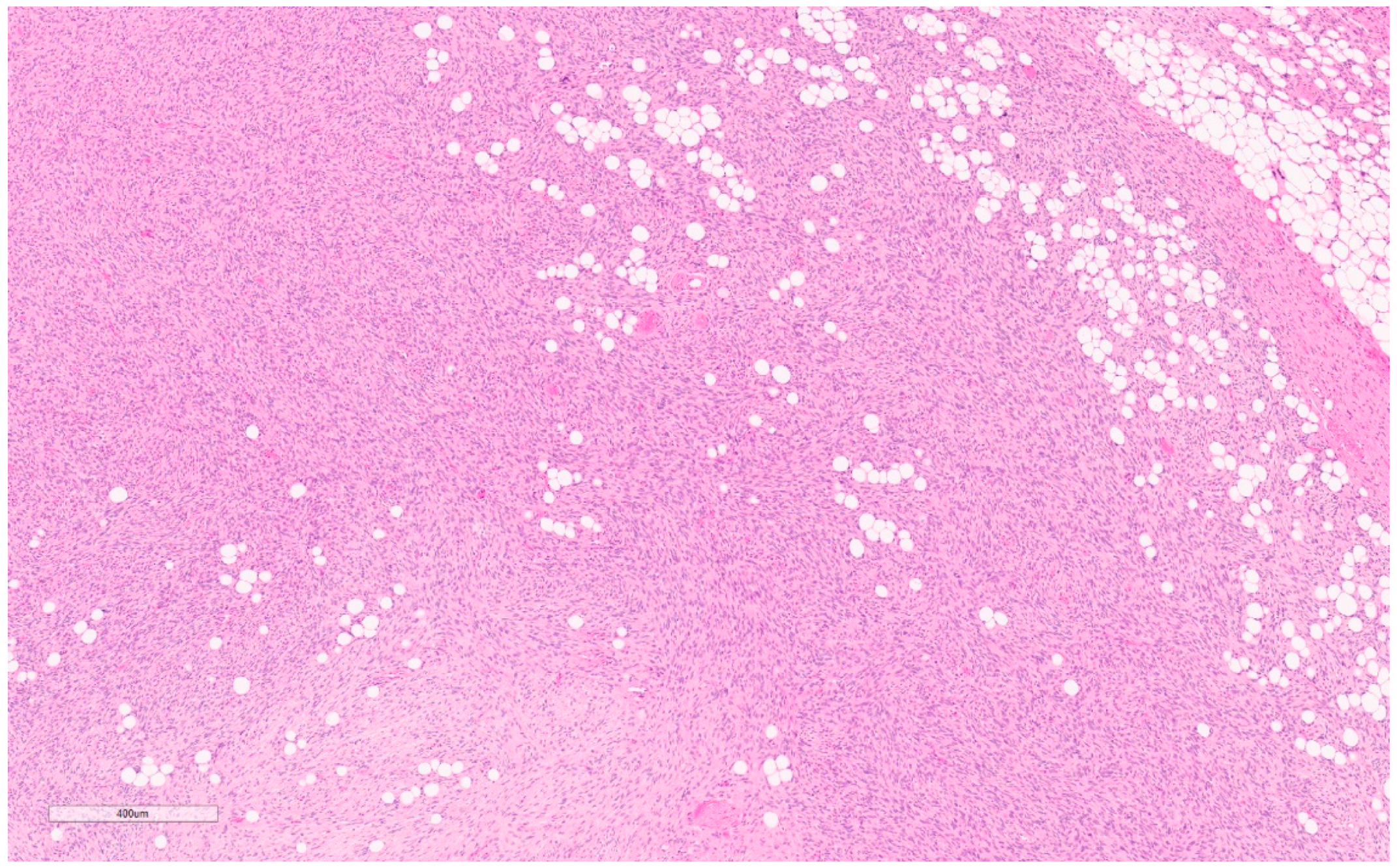 Curroncol 30 00338 g009