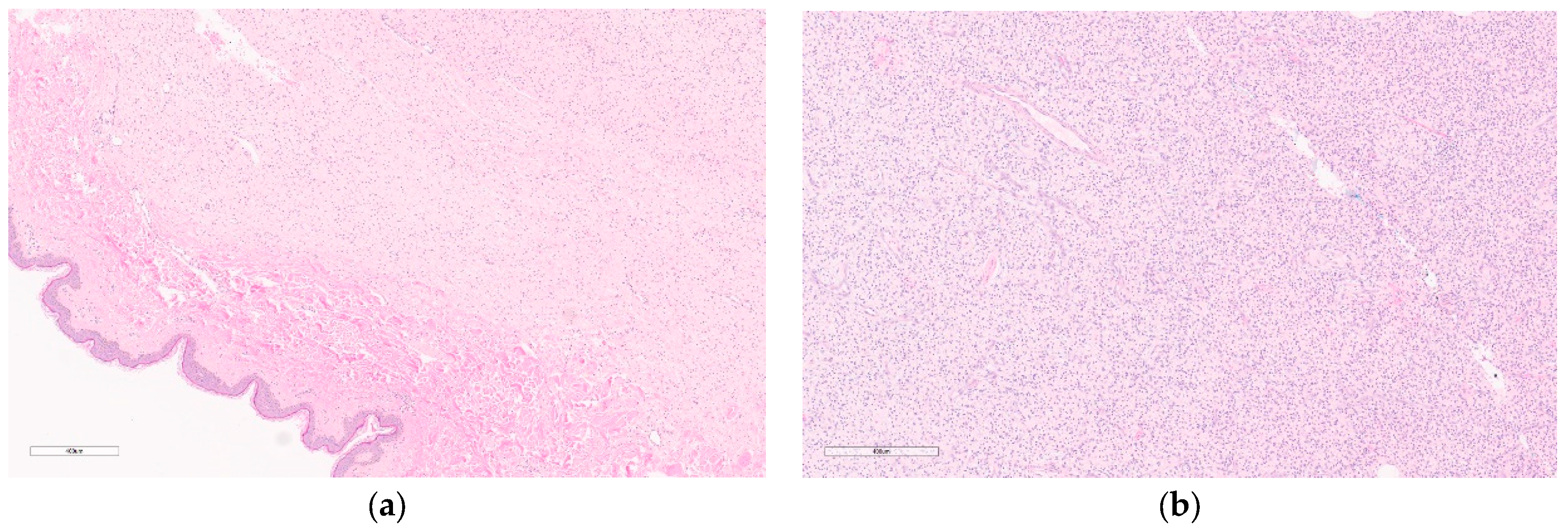 Curroncol 30 00338 g011