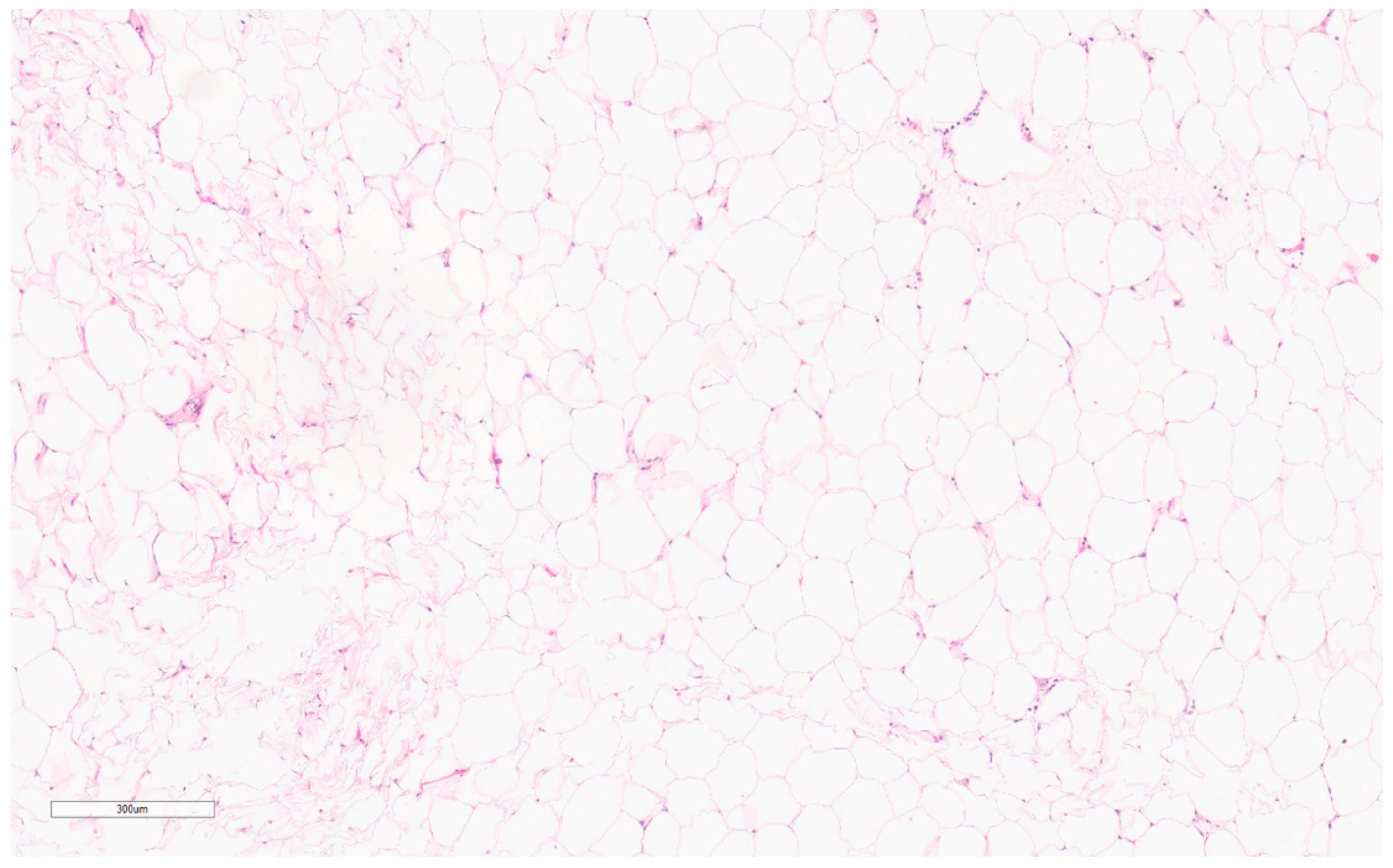 Curroncol 30 00338 g013