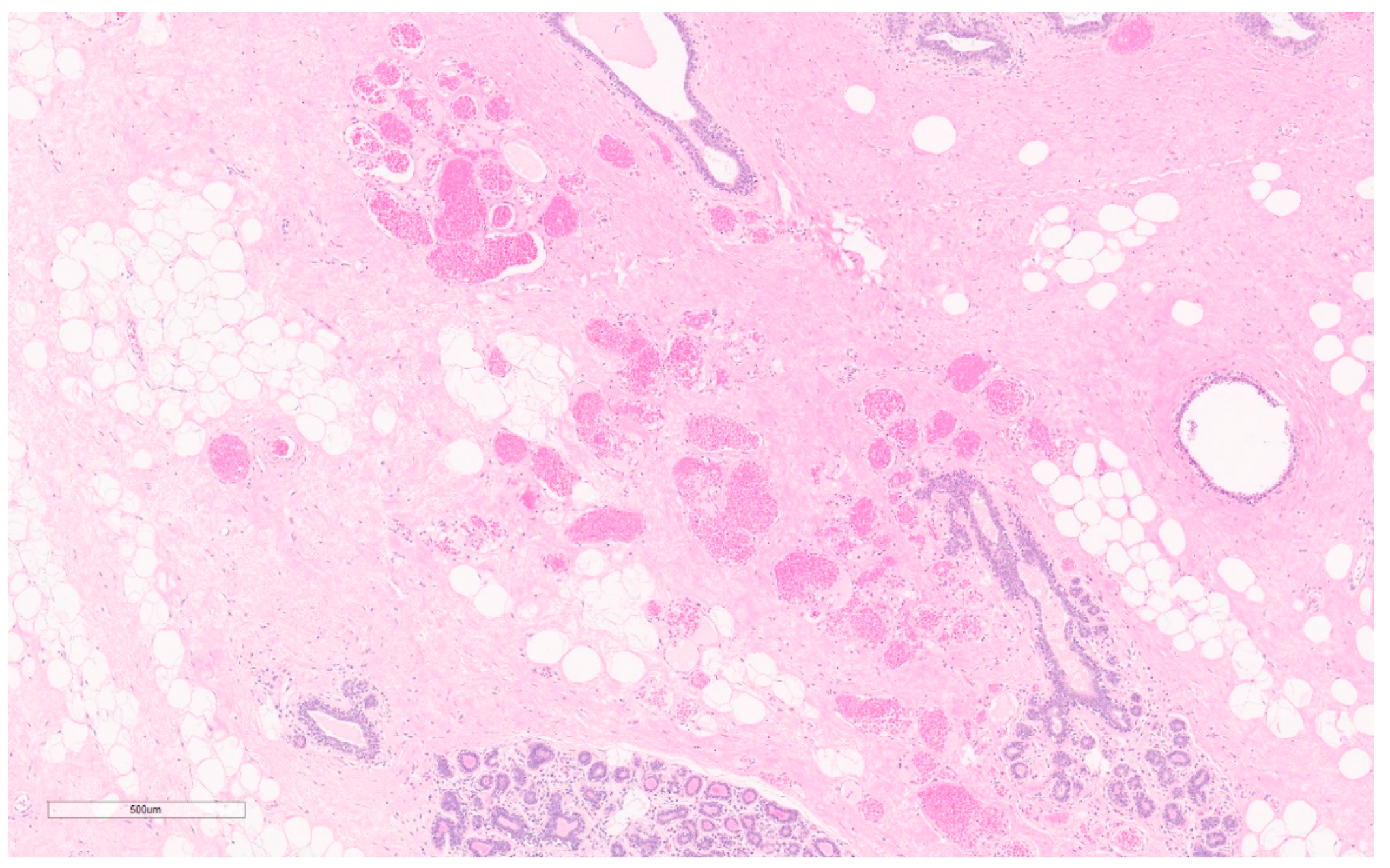 Curroncol 30 00338 g015