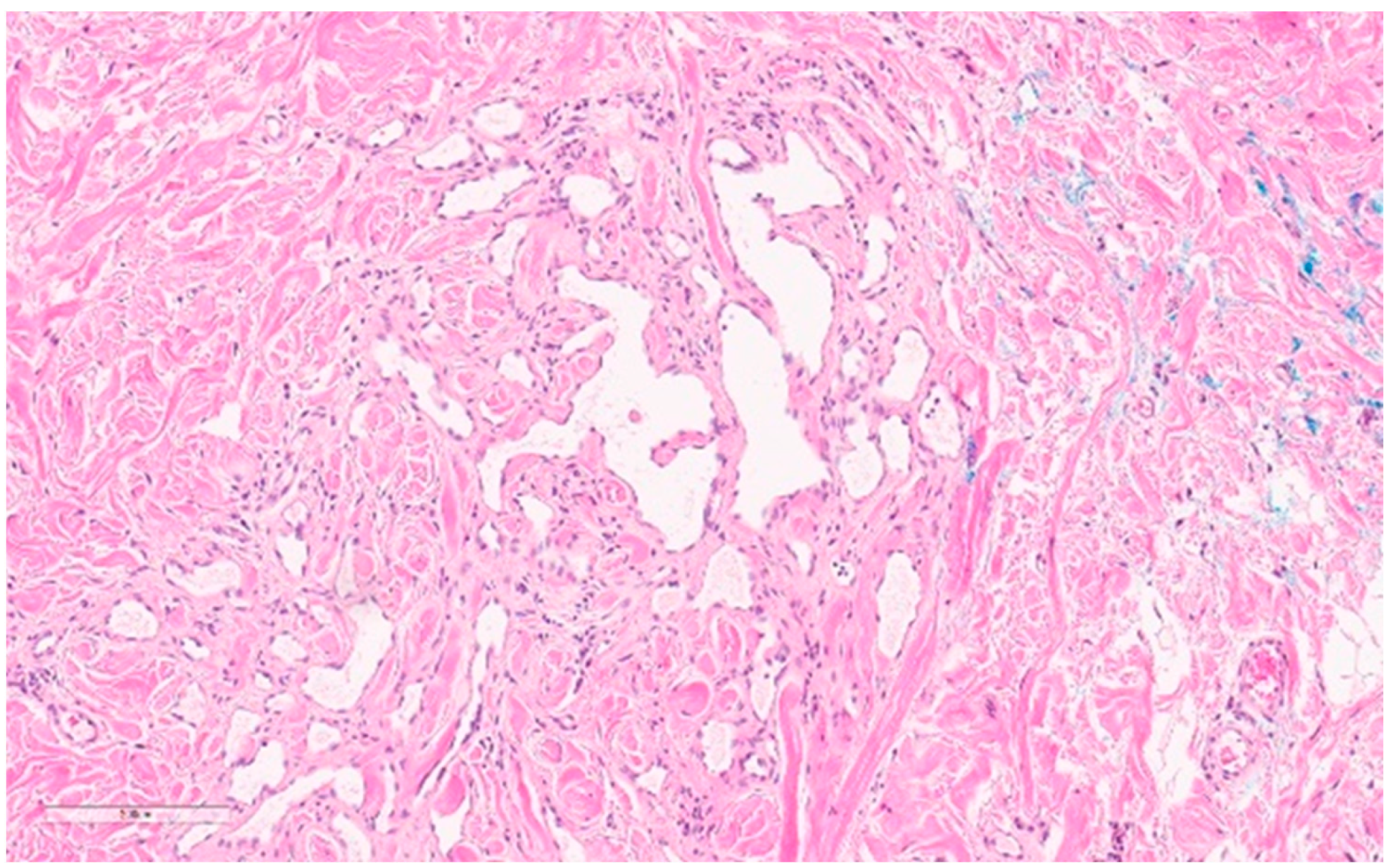 Curroncol 30 00338 g016