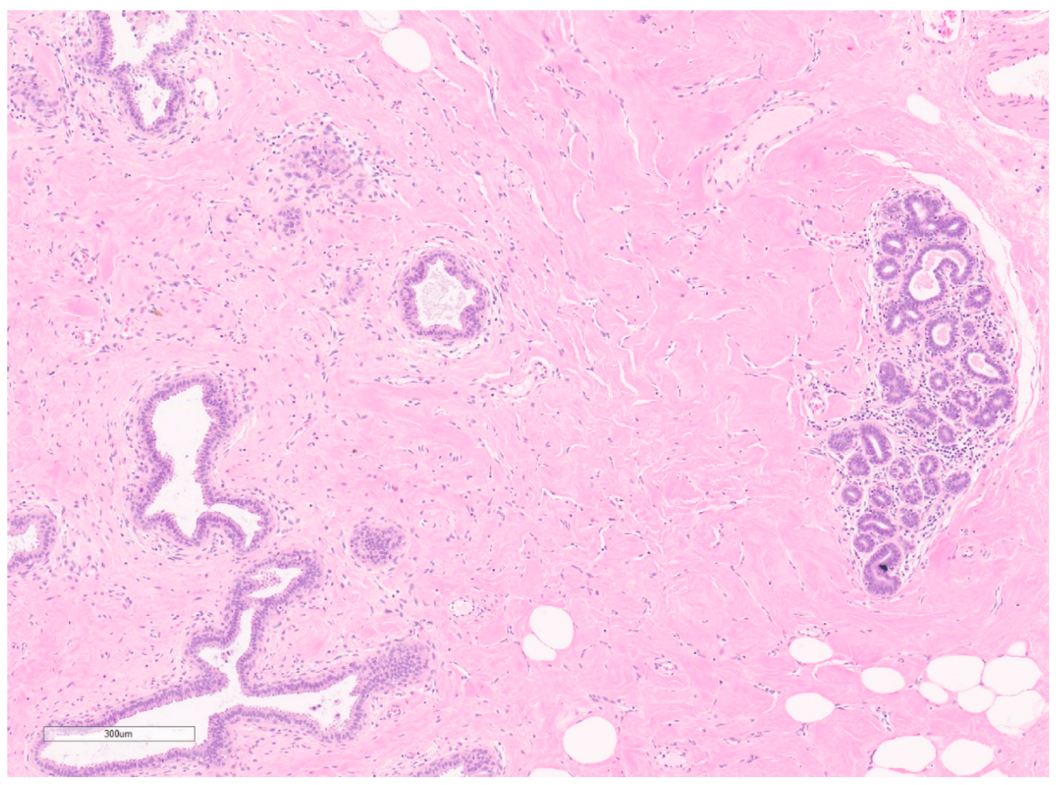 Curroncol 30 00338 g017