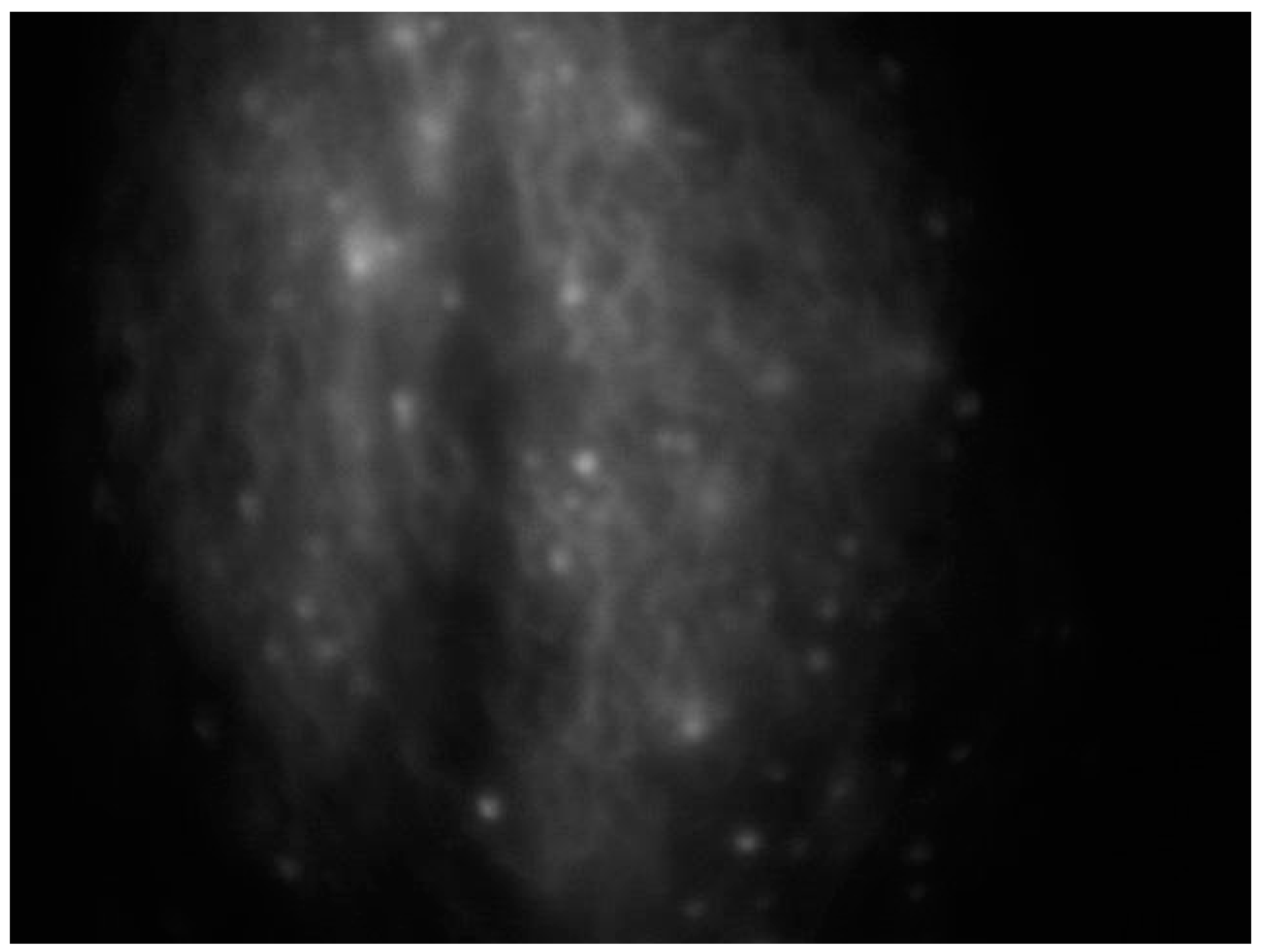 Curroncol 30 00341 g002 Curroncol 30 00341 g002