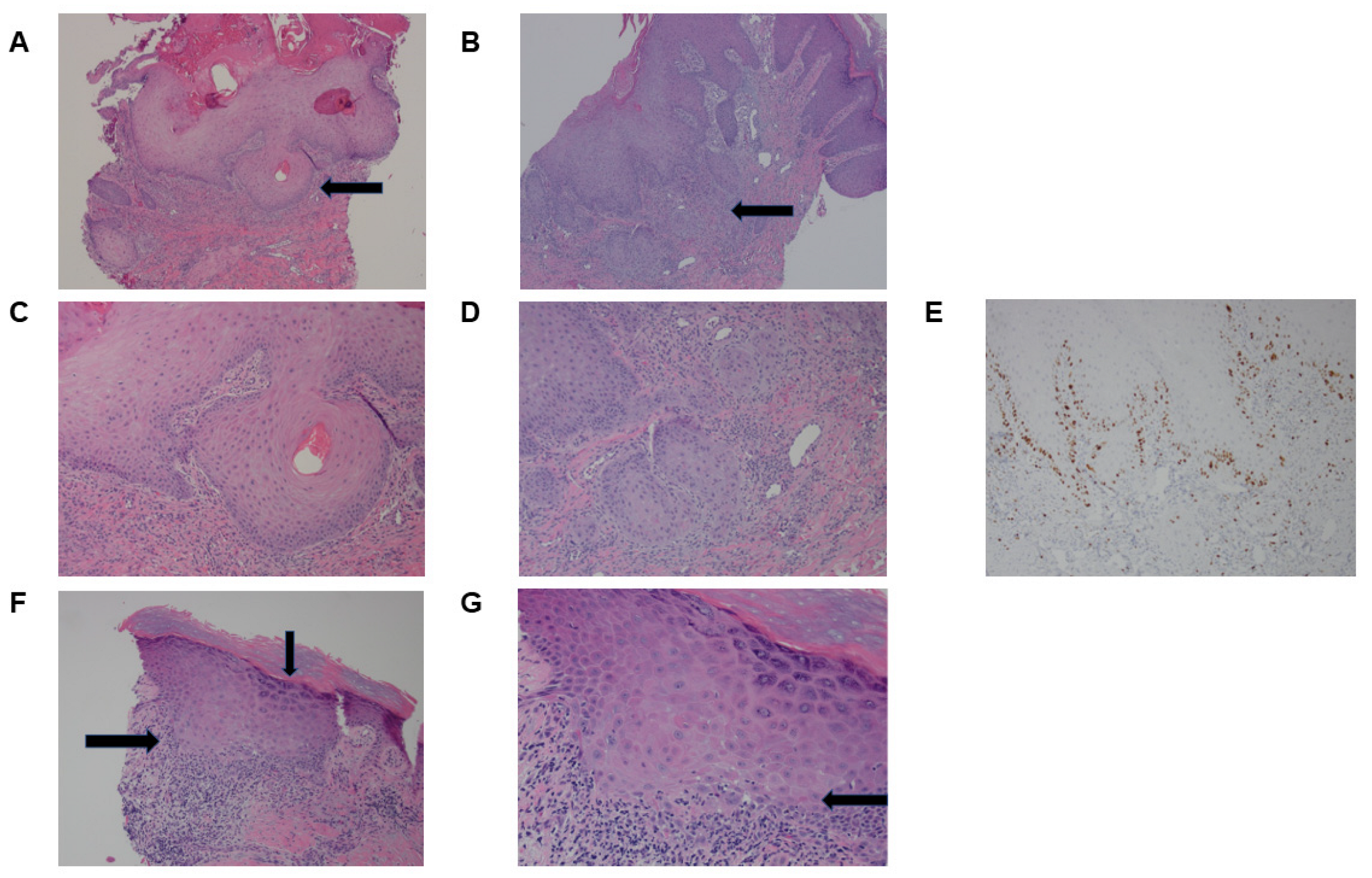 Curroncol 30 00342 g001 Curroncol 30 00342 g001