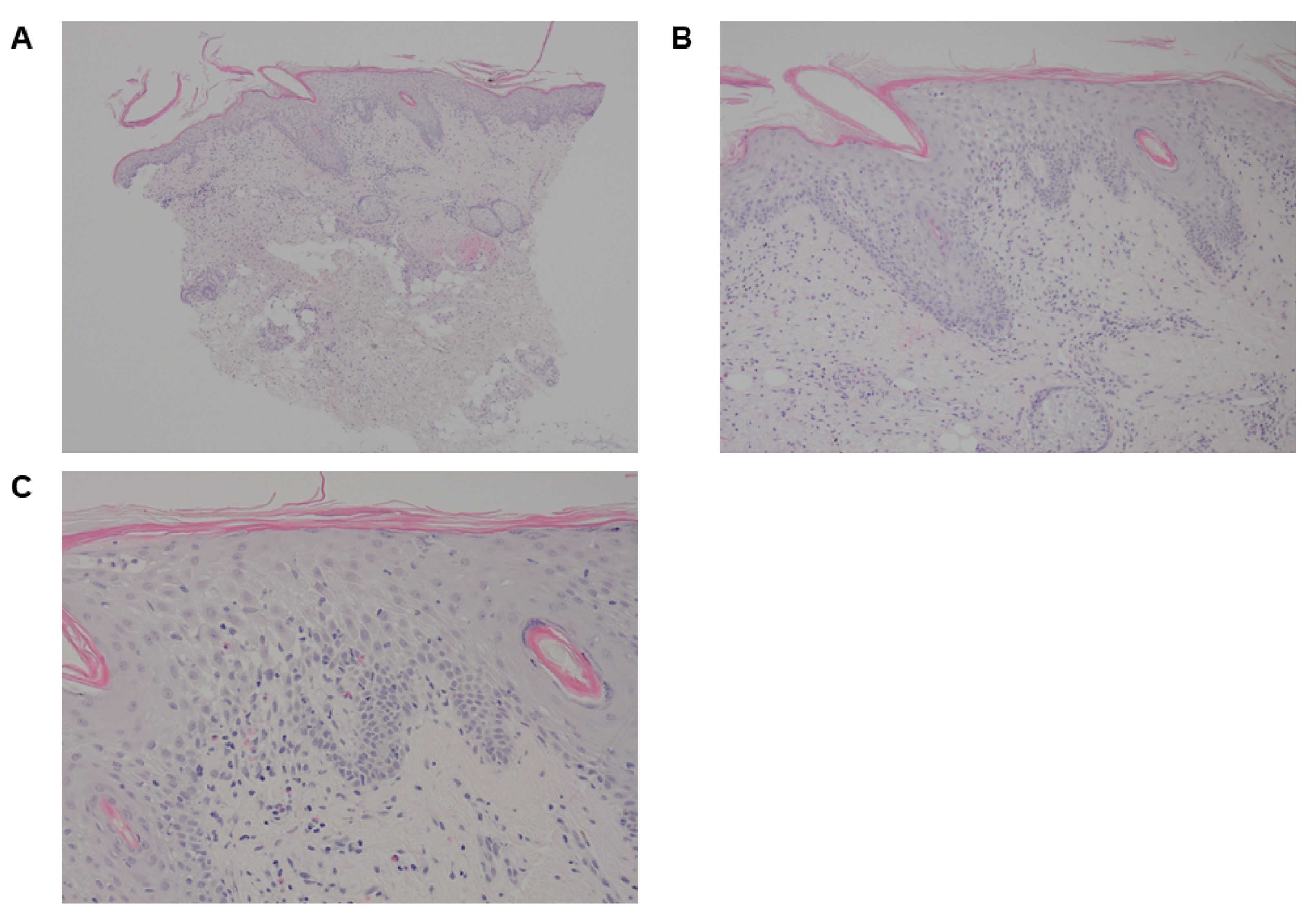 Curroncol 30 00342 g005 Curroncol 30 00342 g005