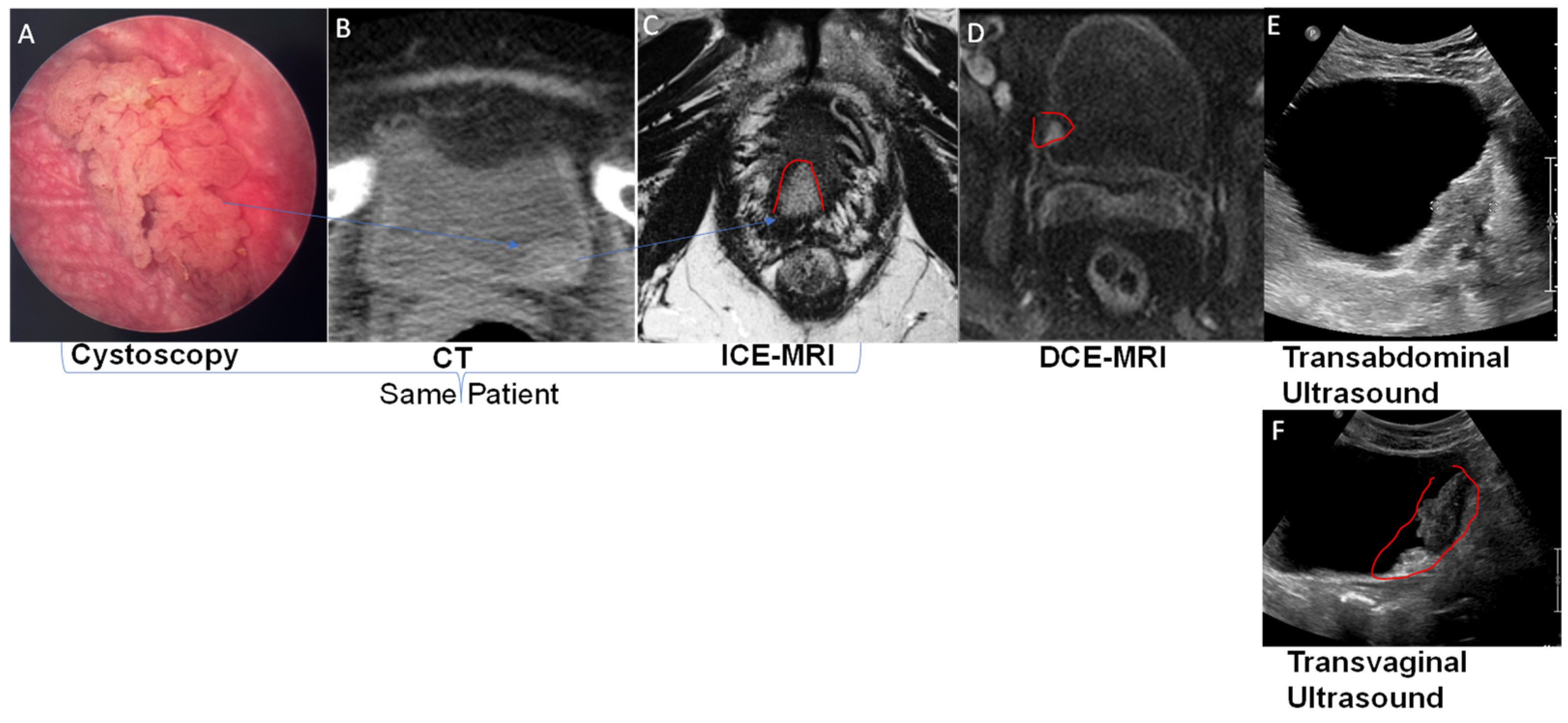 Curroncol 30 00350 g002 Curroncol 30 00350 g002