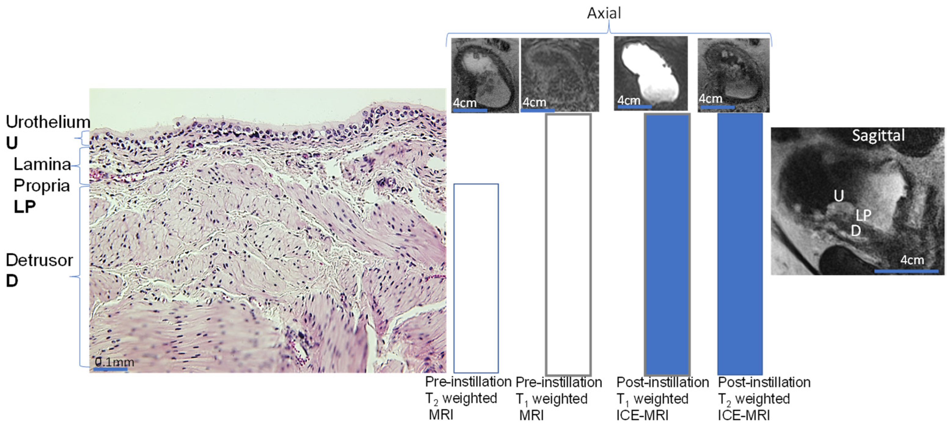 Curroncol 30 00350 g003 Curroncol 30 00350 g003