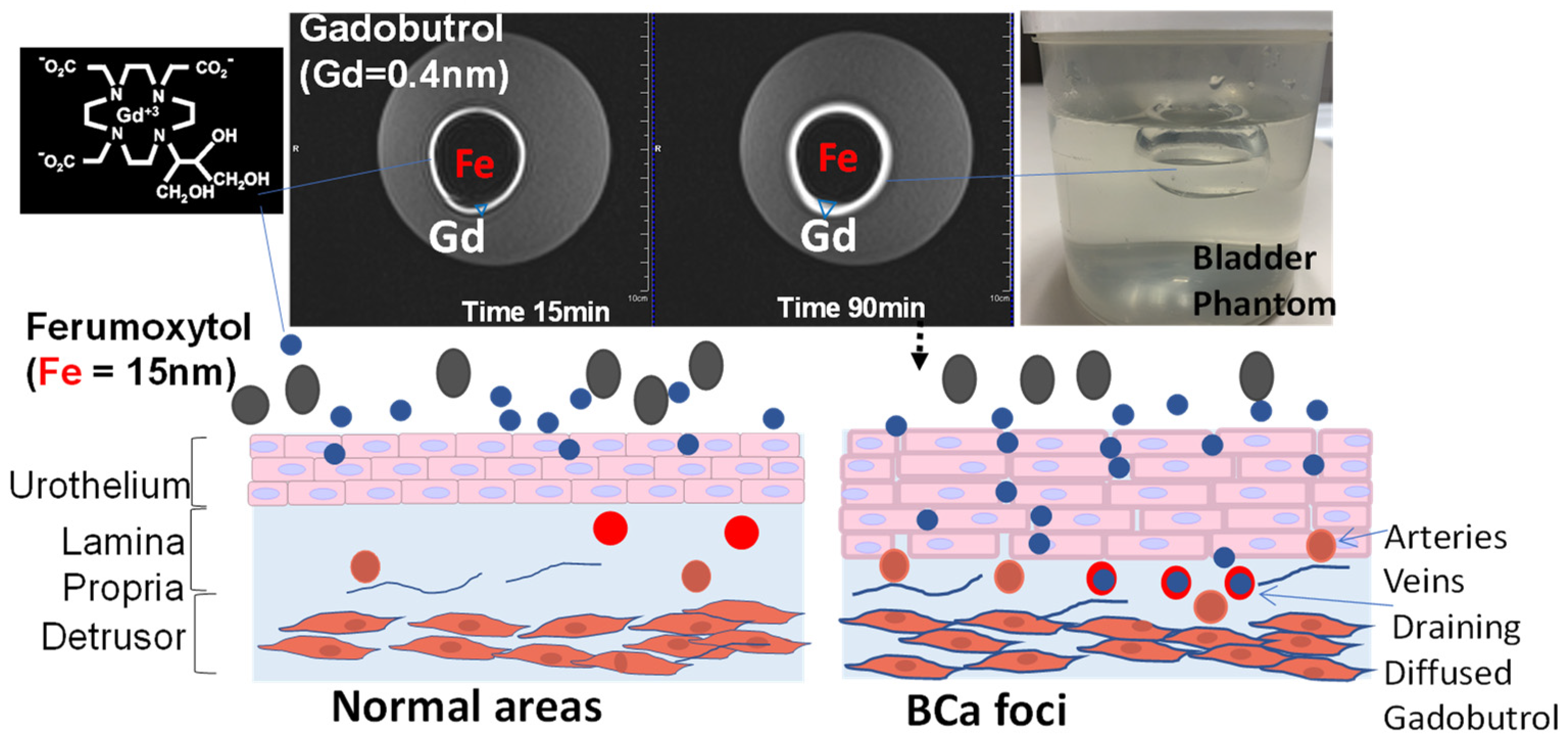 Curroncol 30 00350 g006 Curroncol 30 00350 g006