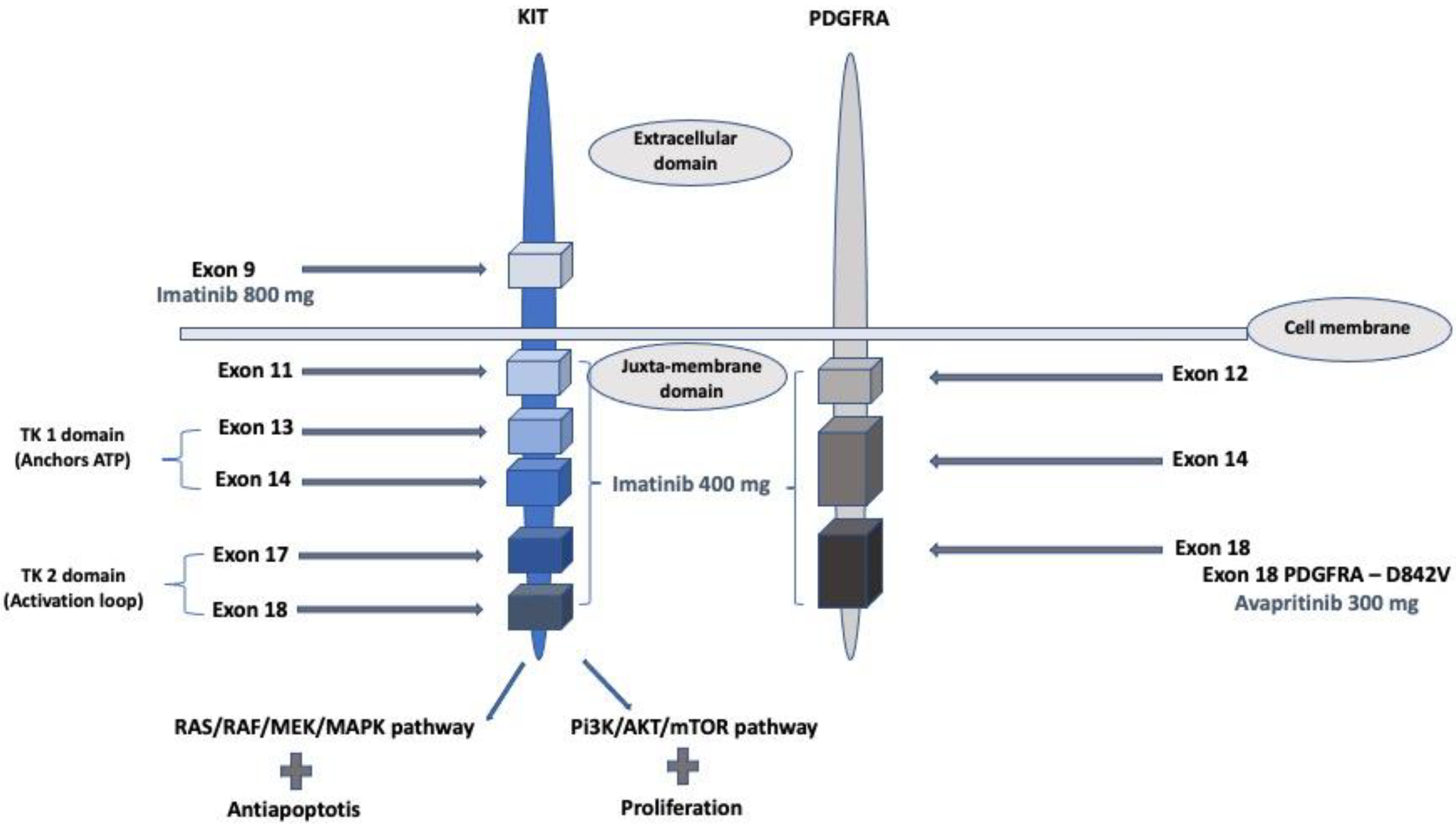 Curroncol 30 00351 g001