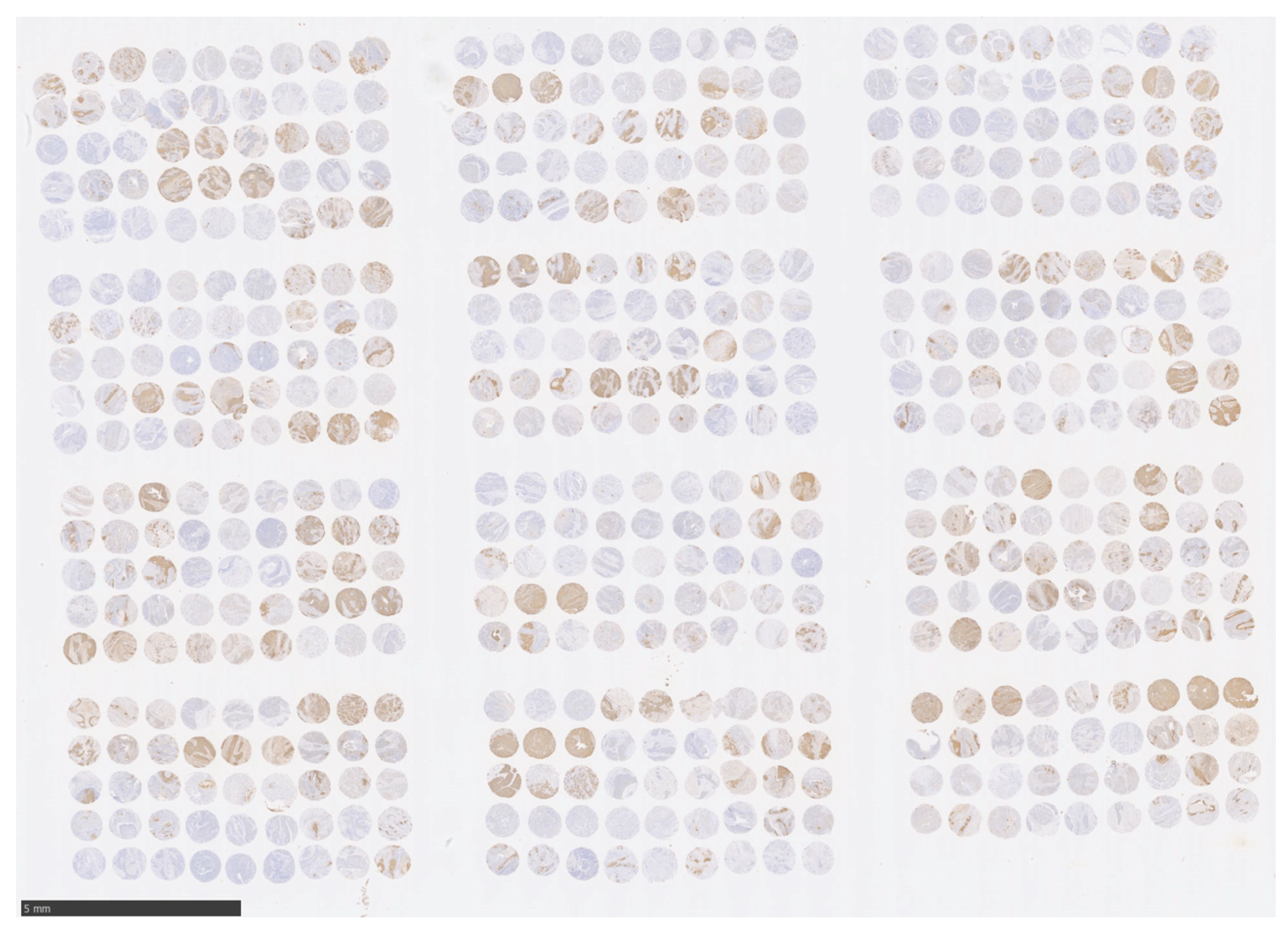 Curroncol 30 00356 g001 Curroncol 30 00356 g001