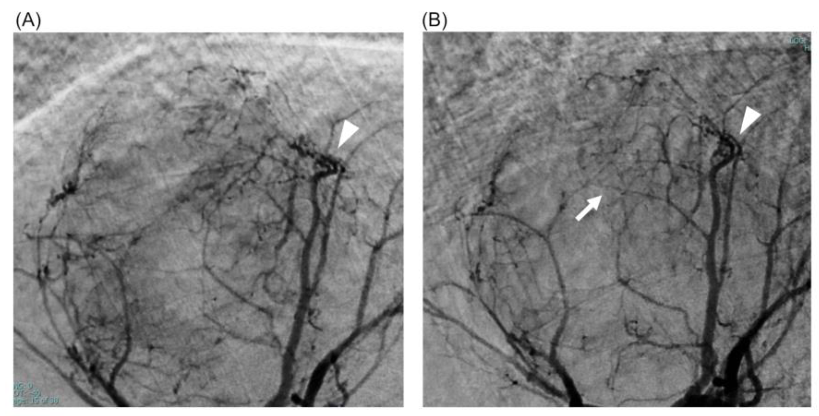 Curroncol 30 00360 g003 Curroncol 30 00360 g003