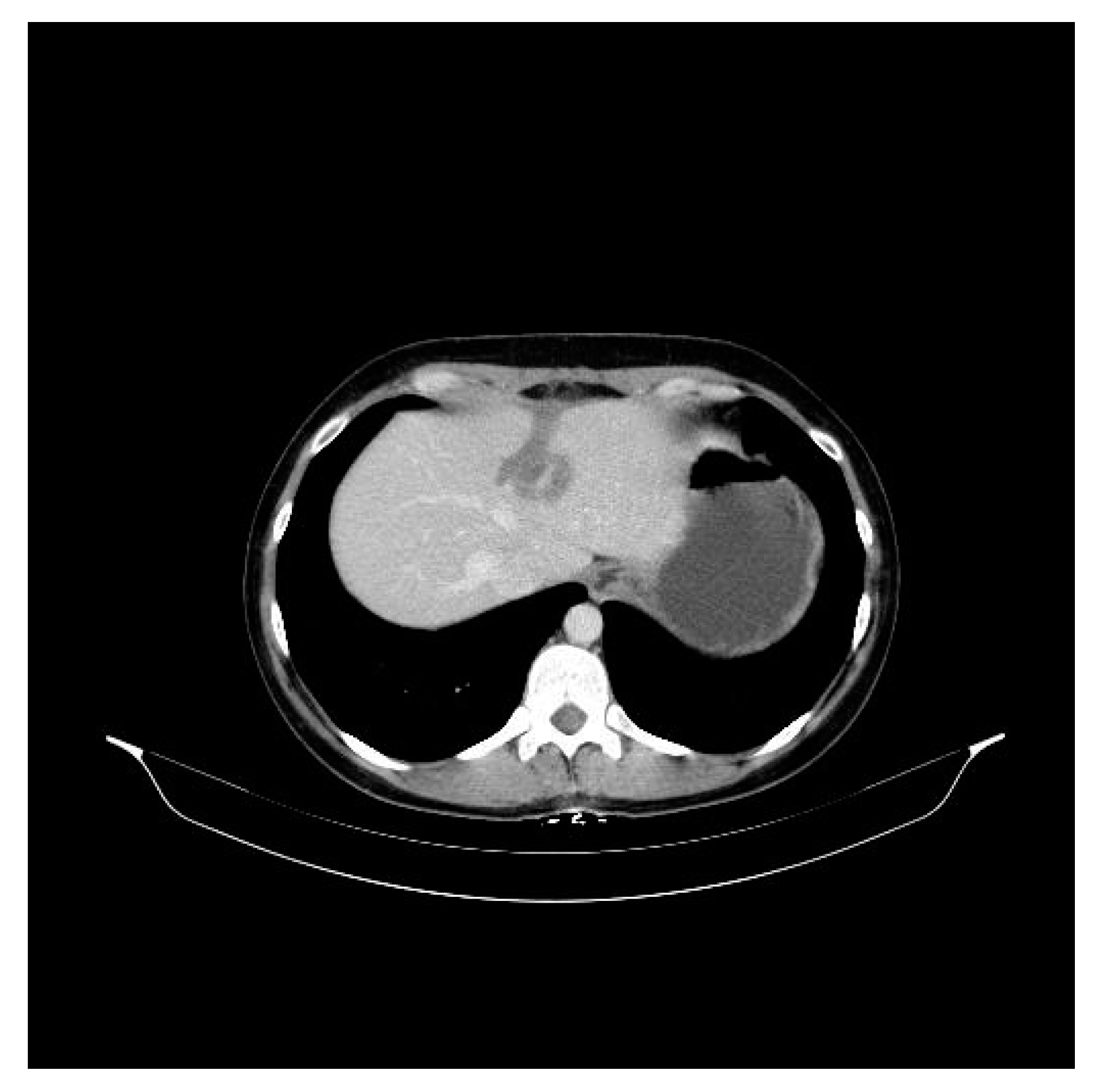 Curroncol 30 00364 g002