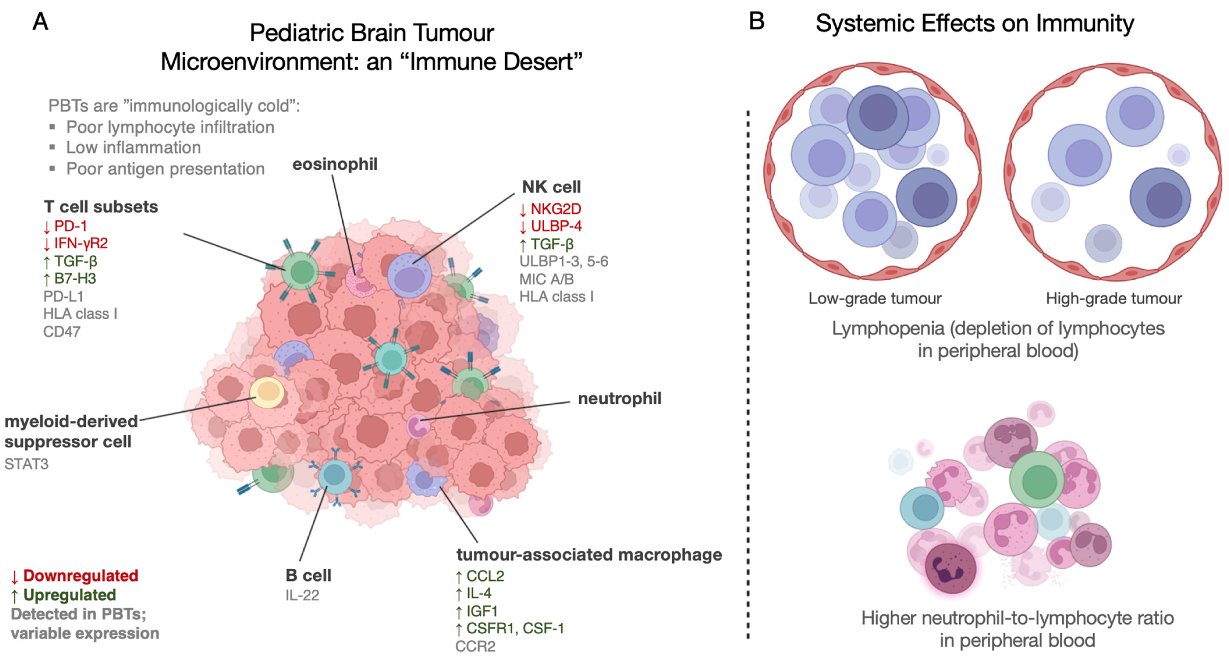Curroncol 30 00379 g001 Curroncol 30 00379 g001