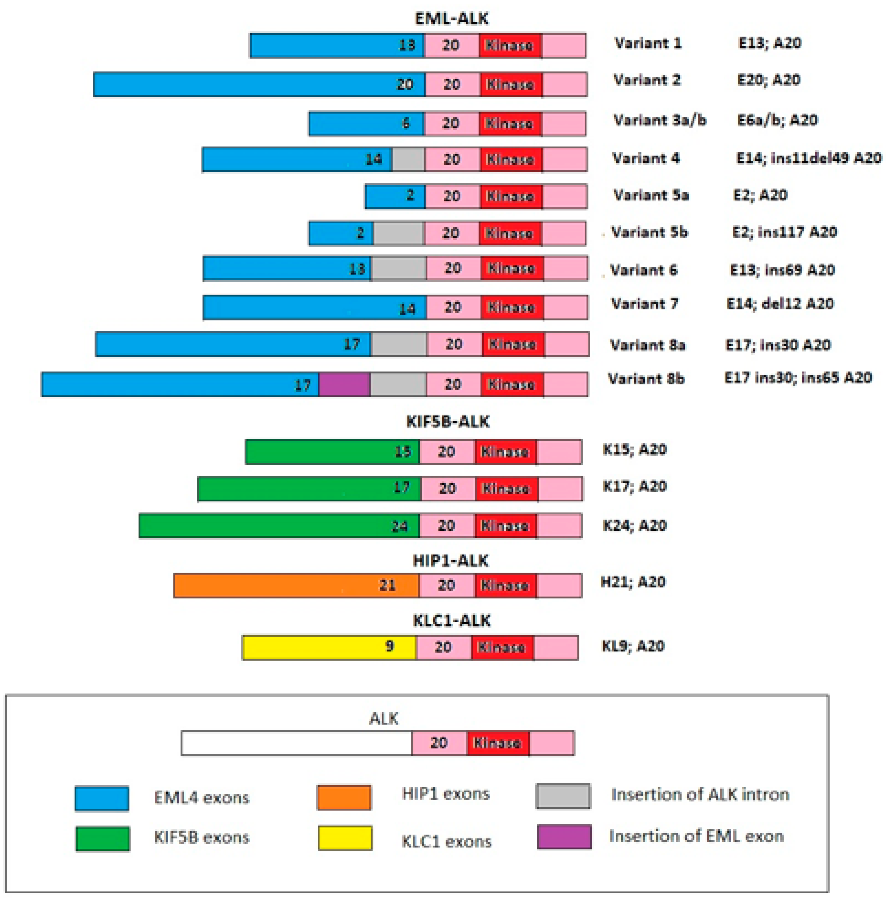 Curroncol 30 00384 g002 Curroncol 30 00384 g002
