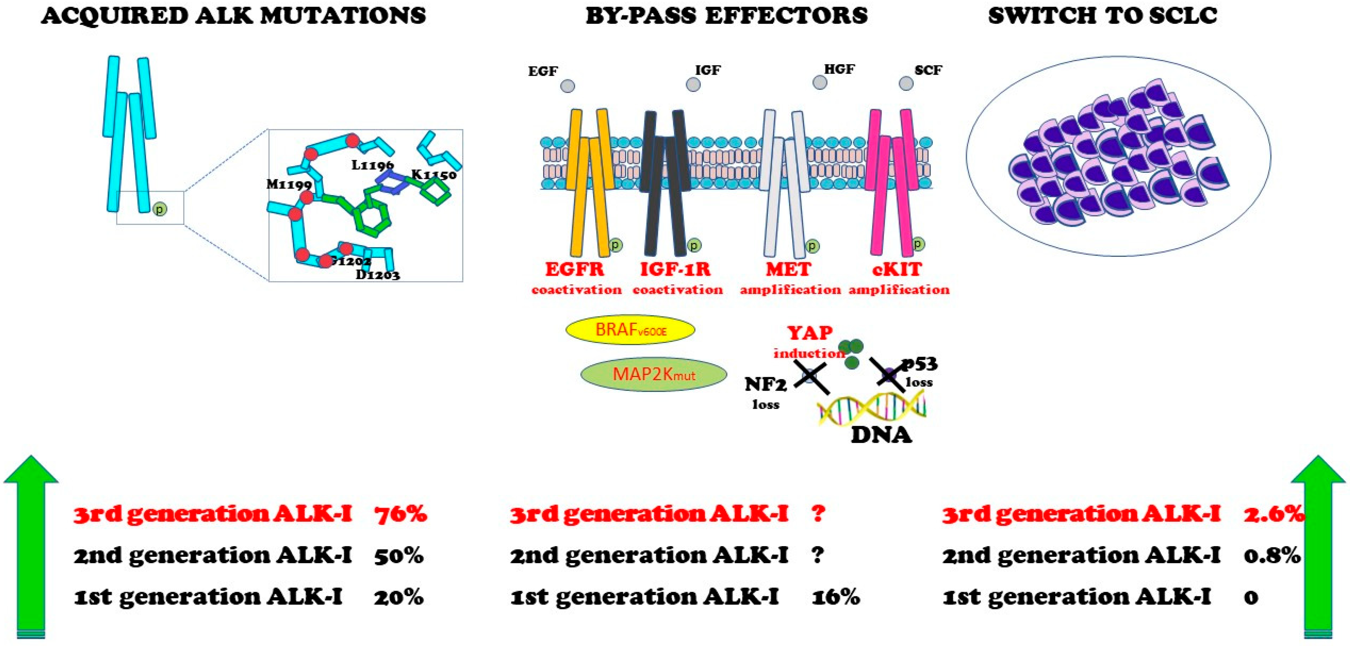 Curroncol 30 00384 g004 Curroncol 30 00384 g004