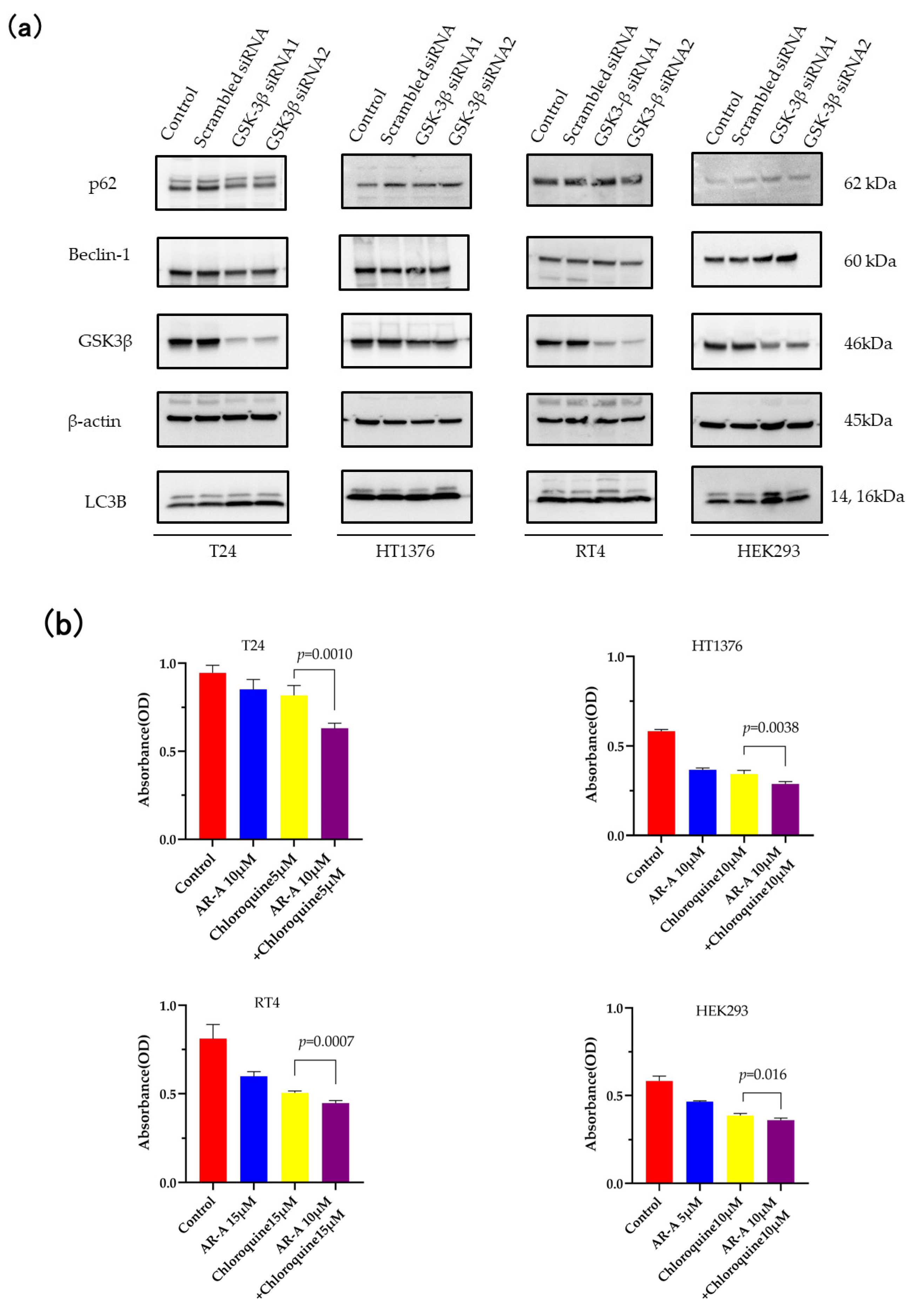 Curroncol 30 00406 g003 Curroncol 30 00406 g003