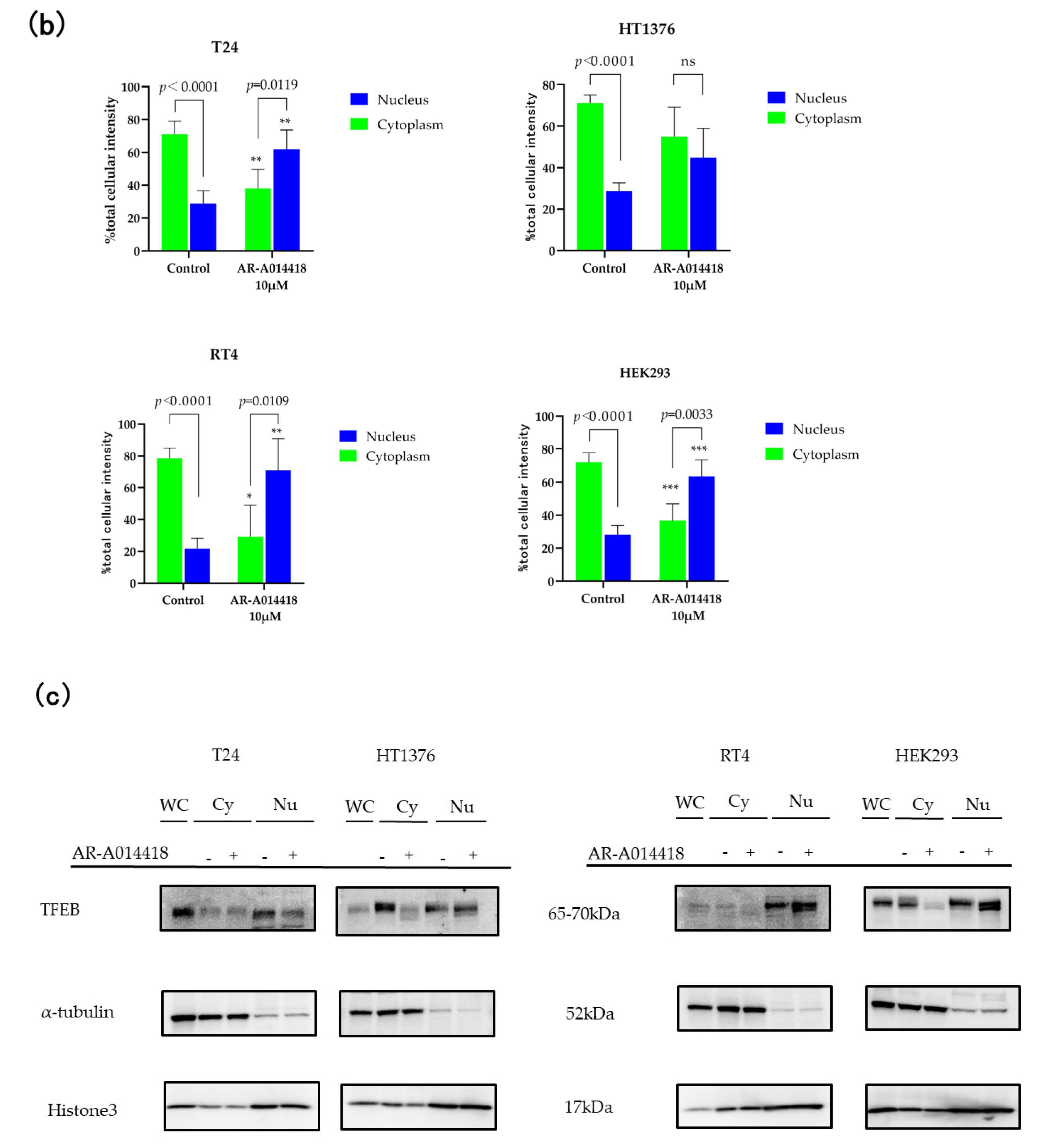 Curroncol 30 00406 g004b Curroncol 30 00406 g004b