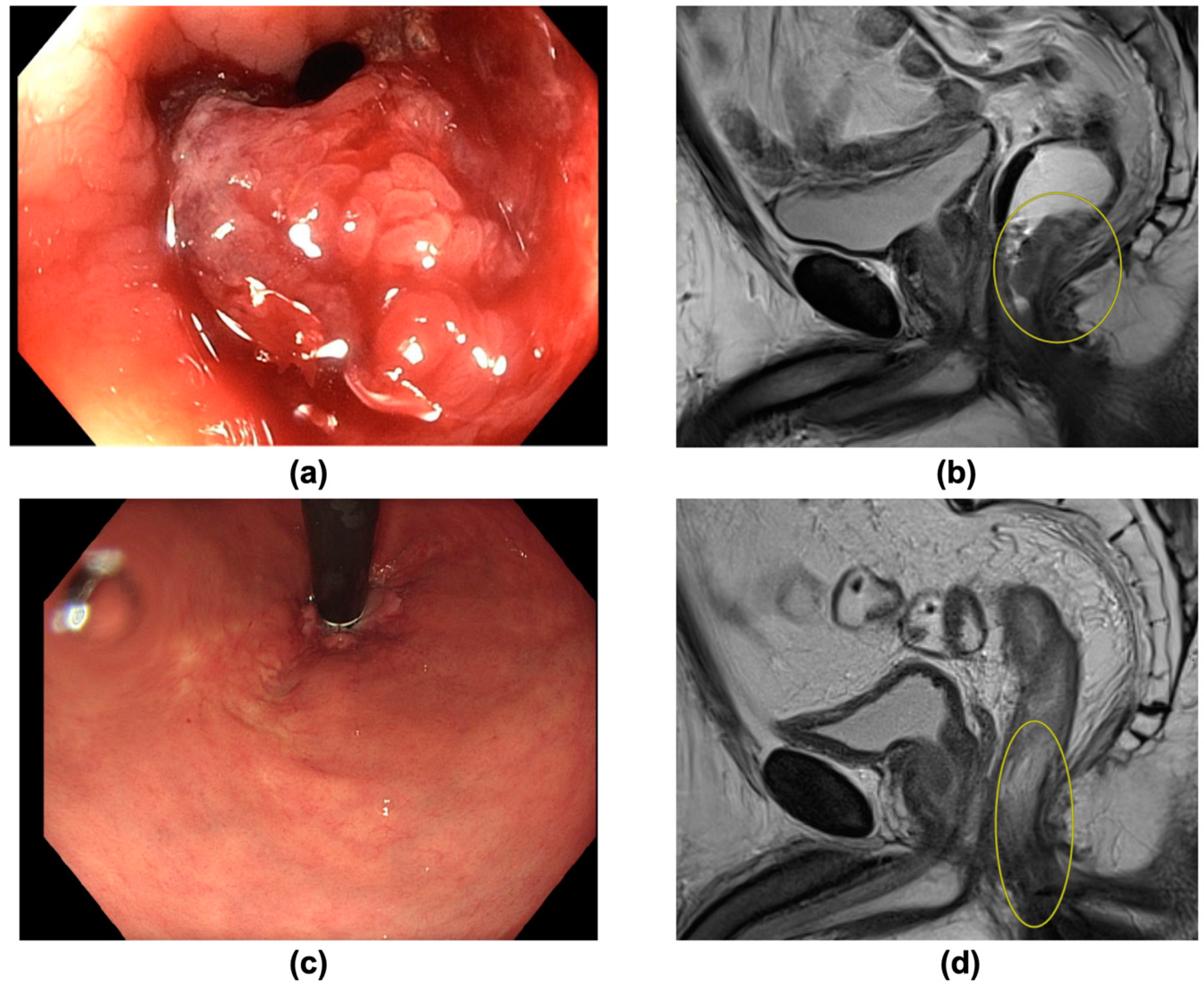 Curroncol 30 00407 g002