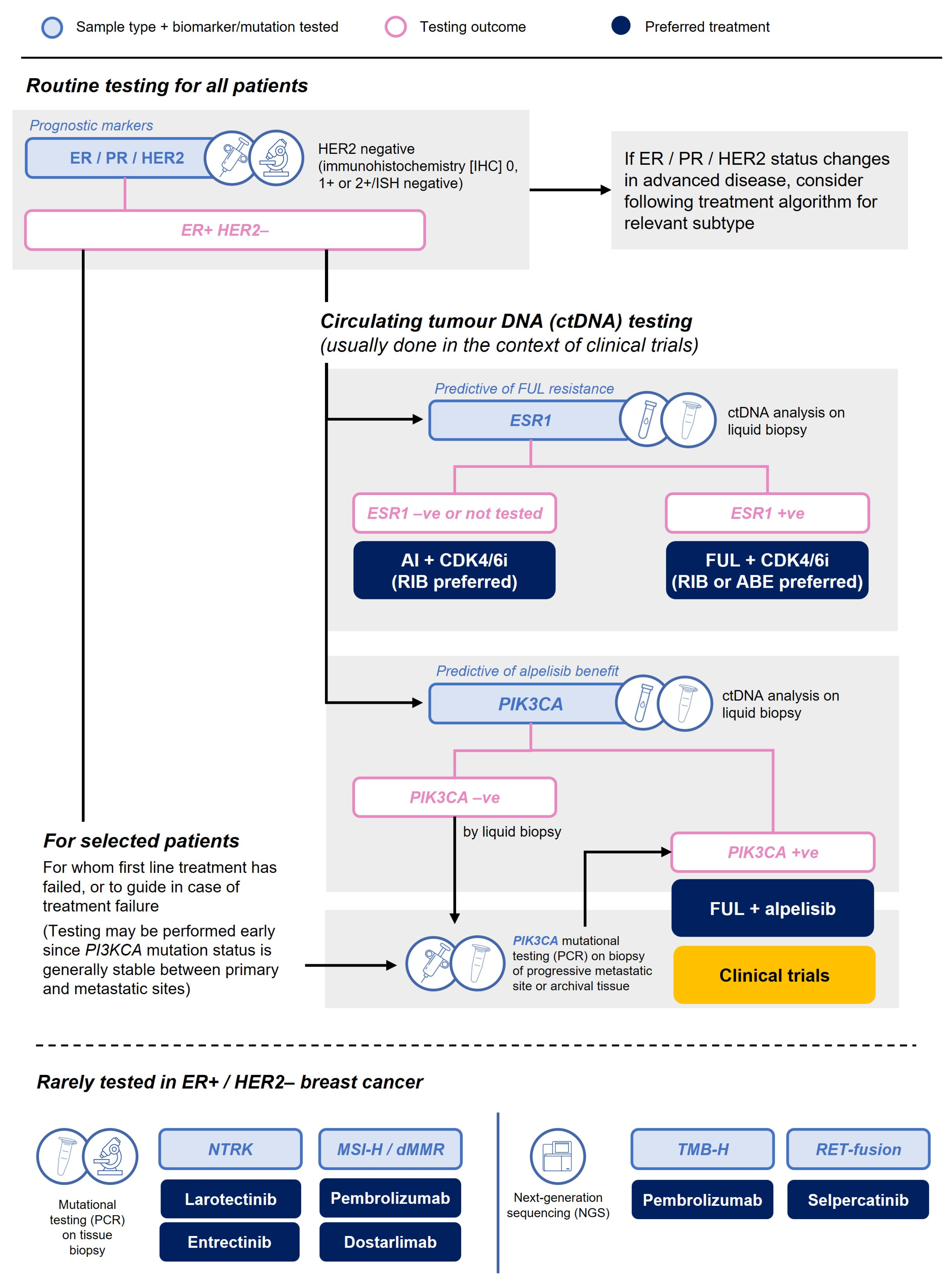 Curroncol 30 00411 g003