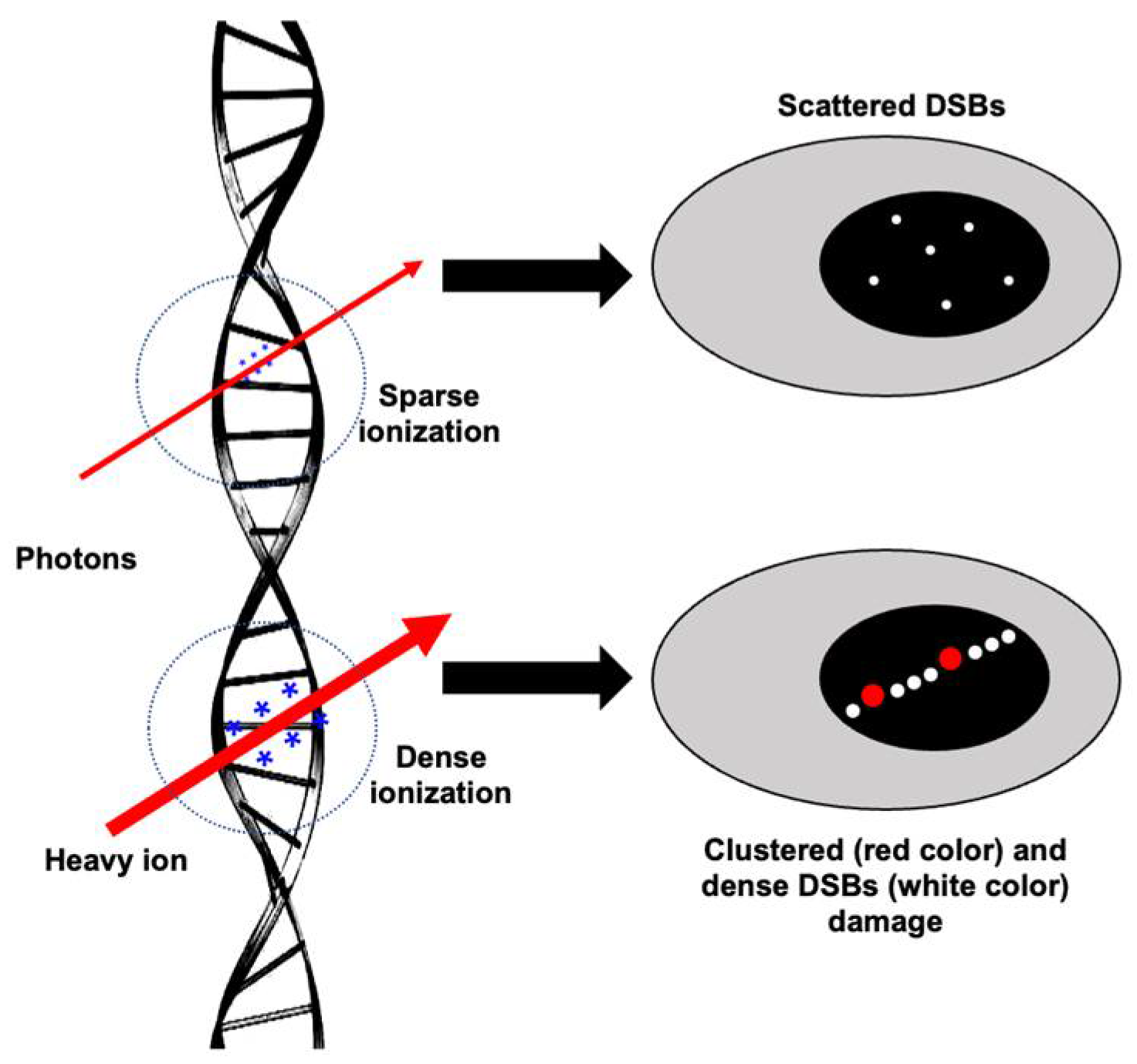 Curroncol 30 00416 g001 Curroncol 30 00416 g001