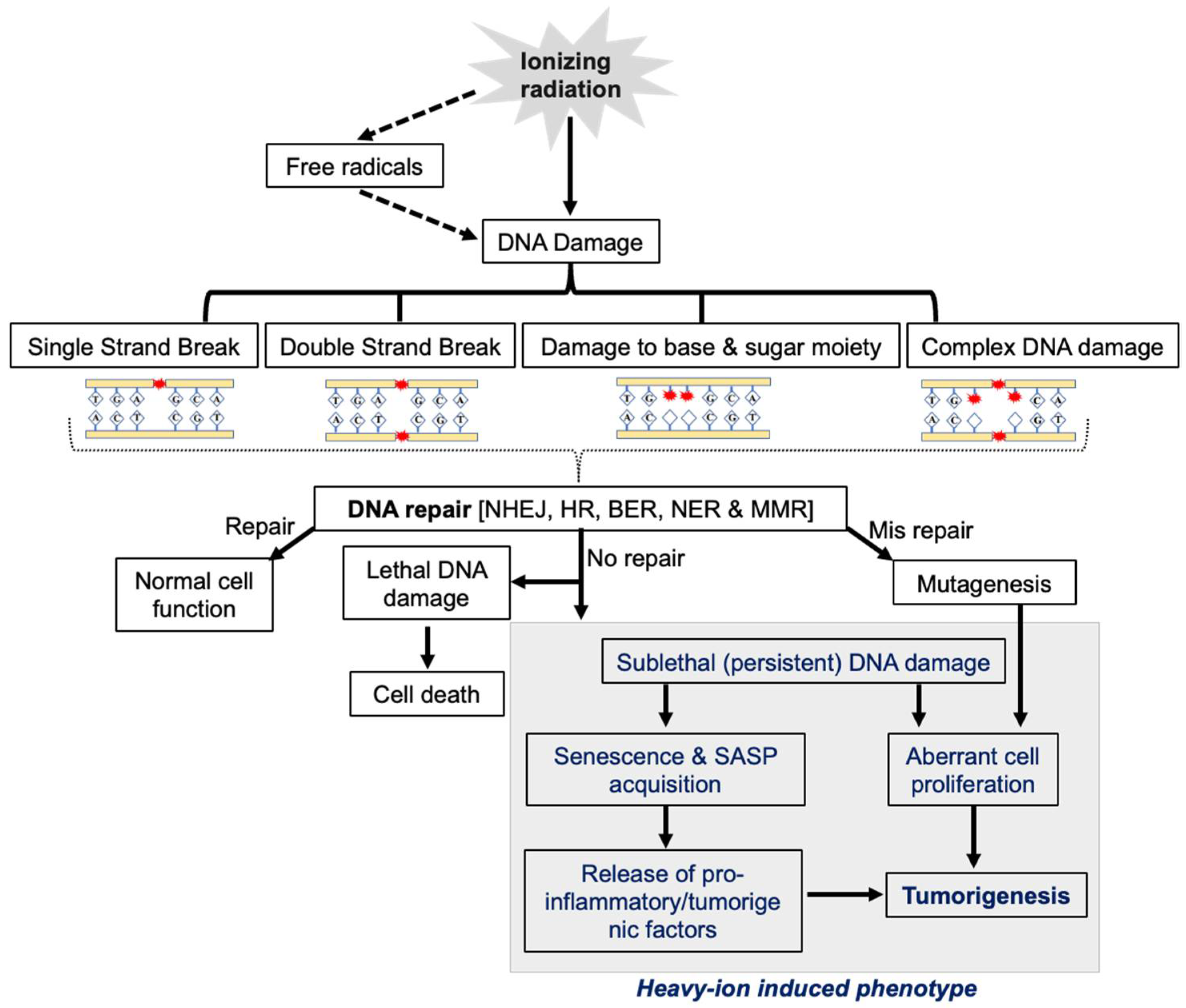Curroncol 30 00416 g002 Curroncol 30 00416 g002